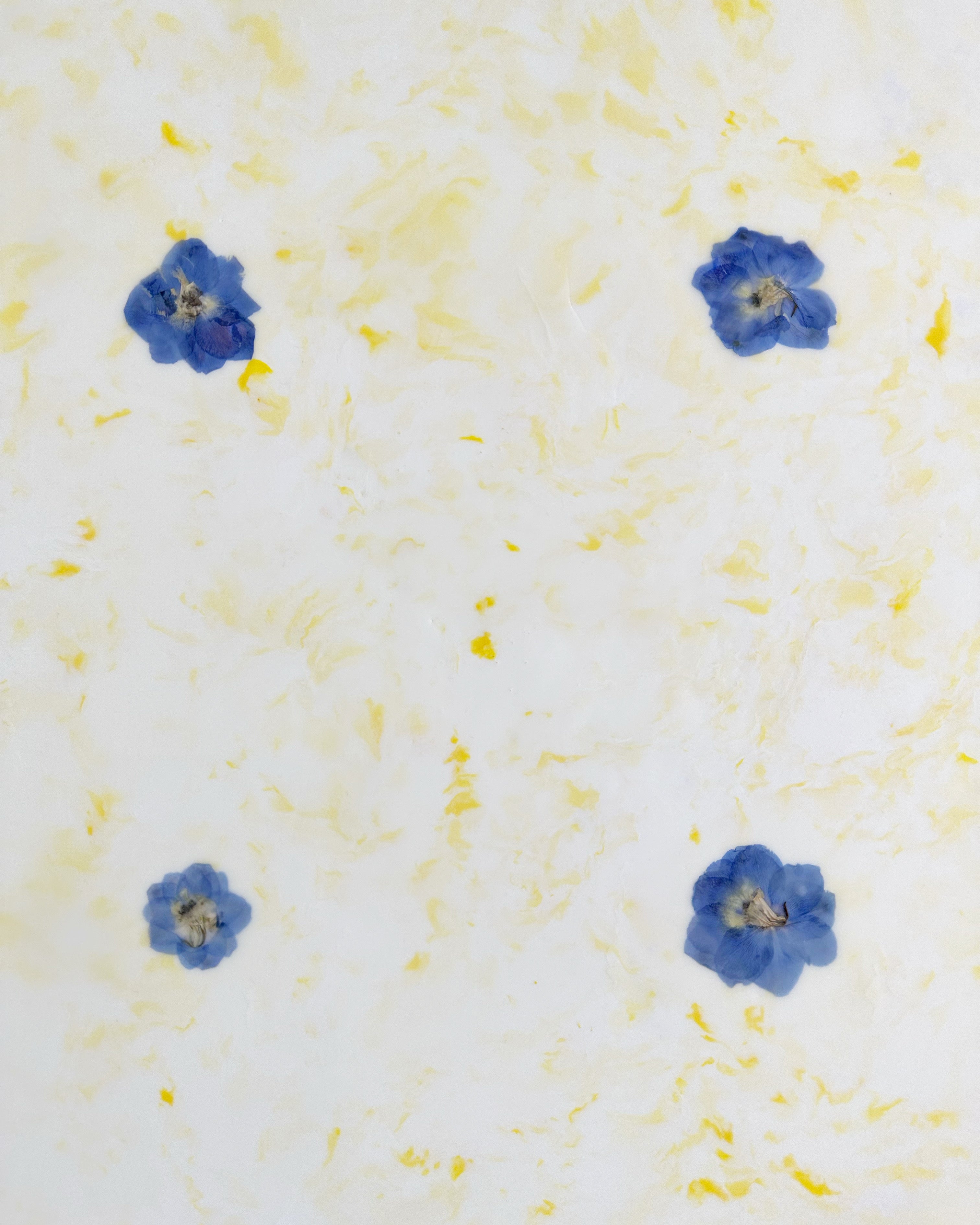 Fiori, 2