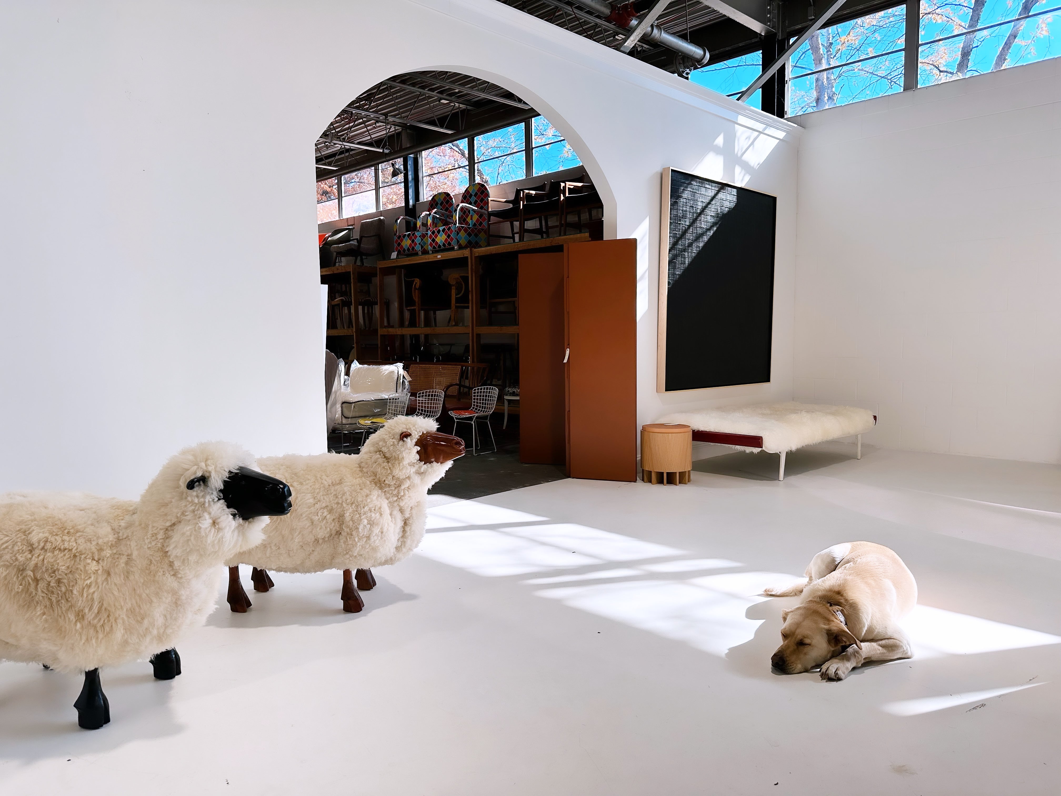 Sheep Sculptures in the Manner of LaLanne