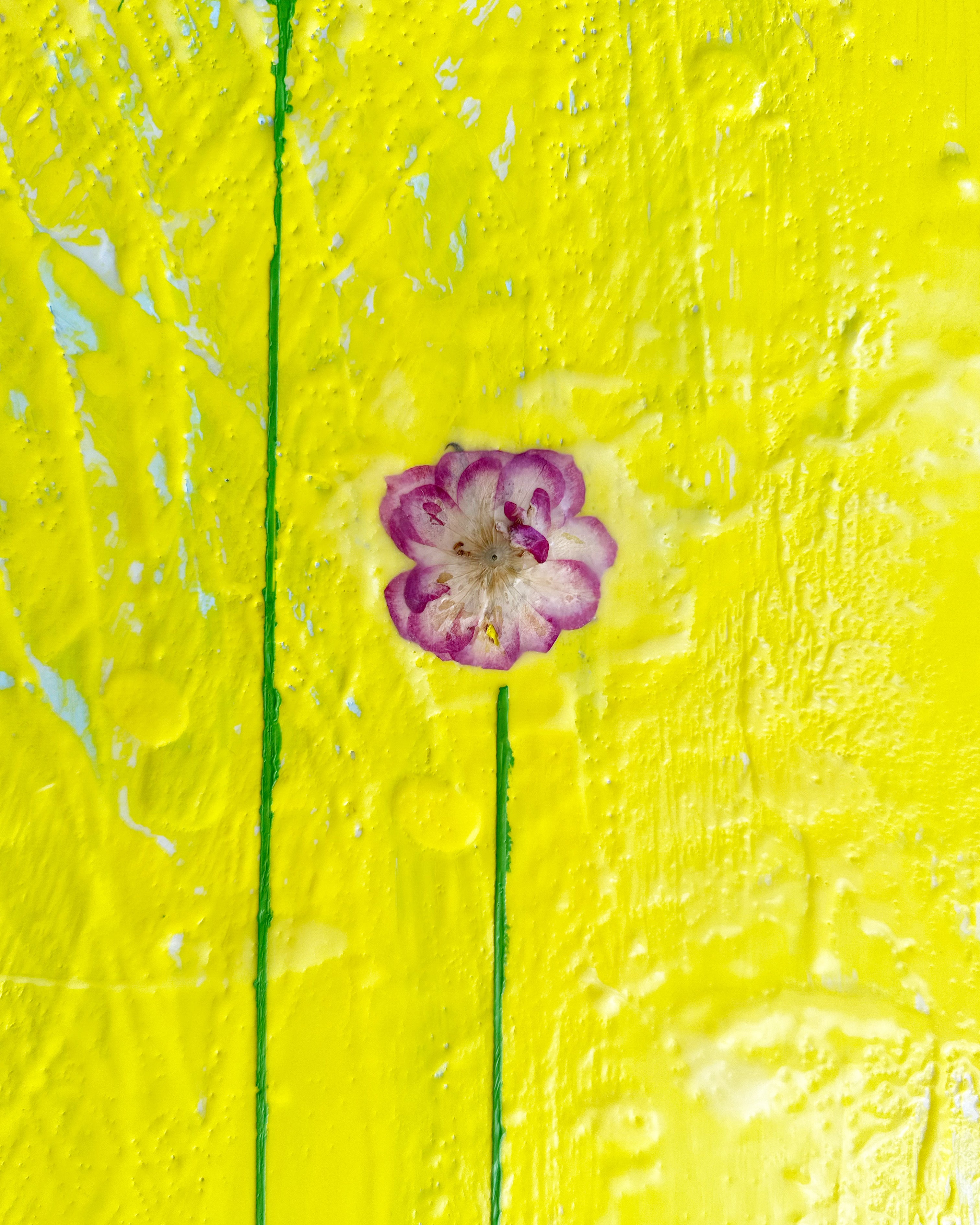 Fiori, 4