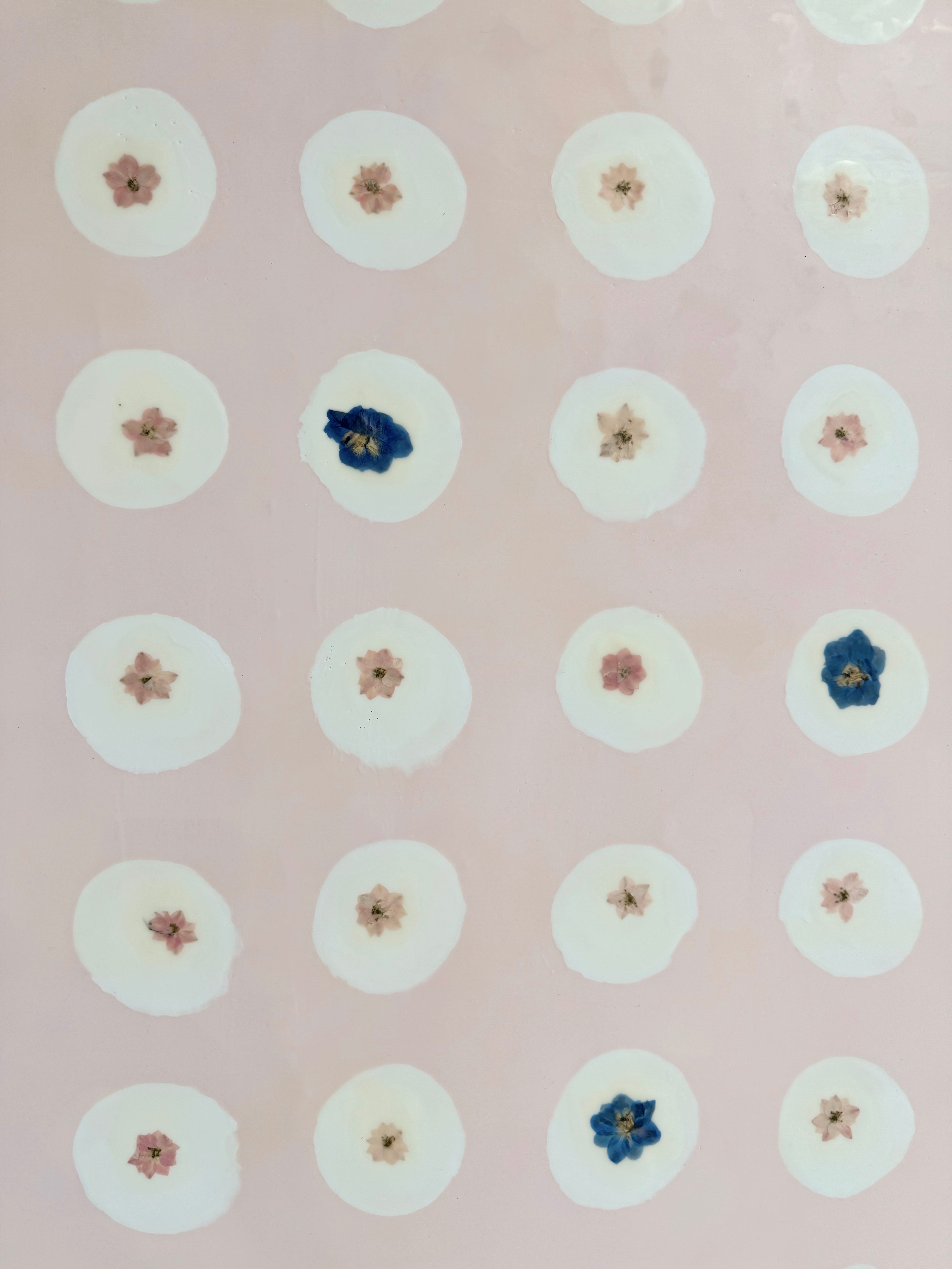 Fiori, 11