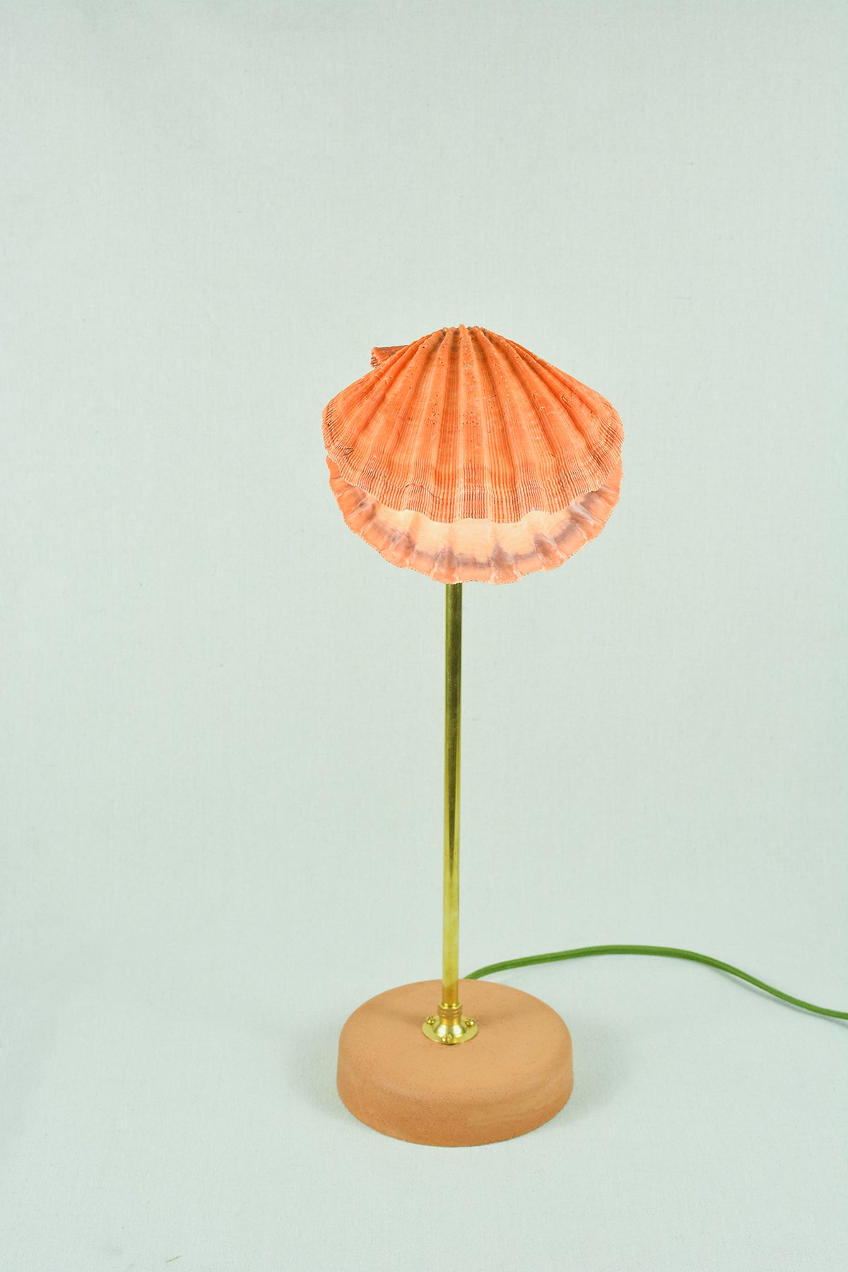 Lion's Paw Lamp