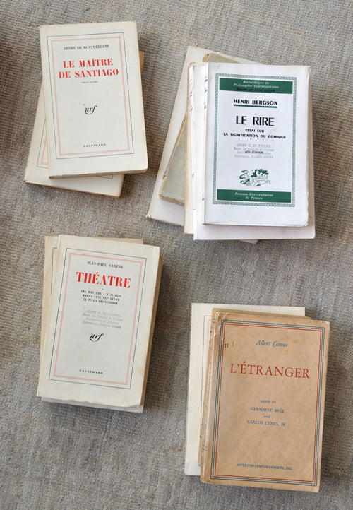 The Vintage French Book Stack