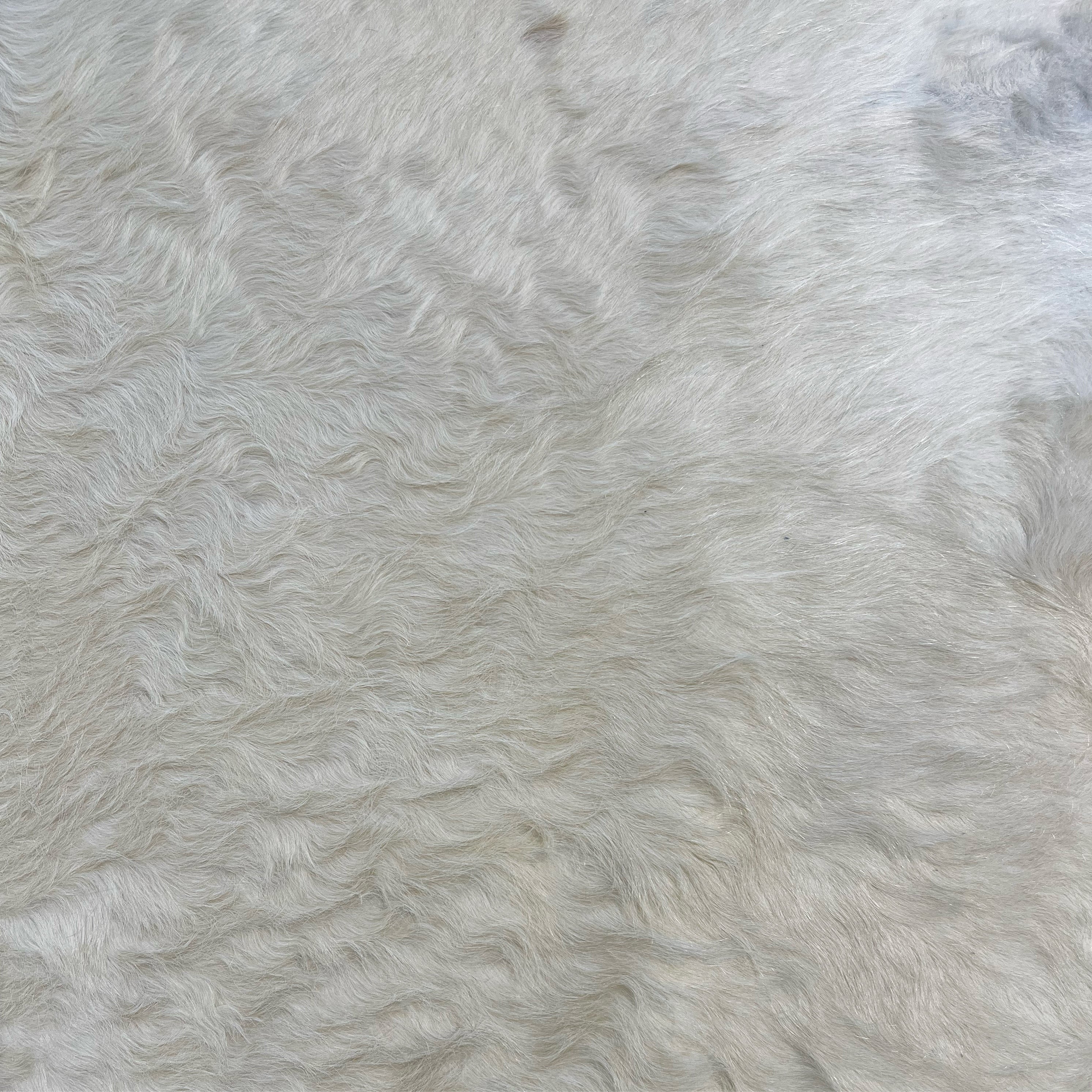 Brazilian Cowhide Rug, Ivory, No. 16