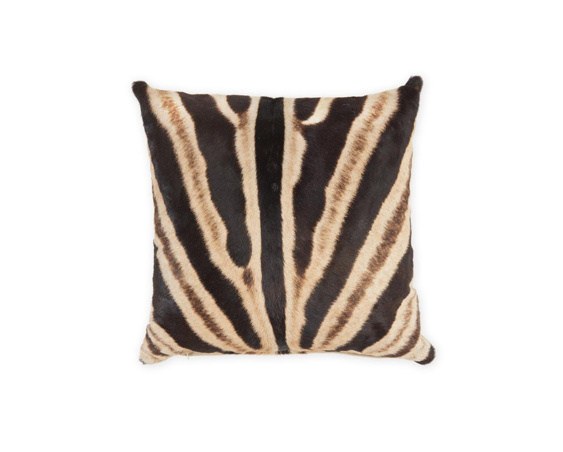 18x18 Zebra Square Throw Pillow - The Pillow Collection : Target