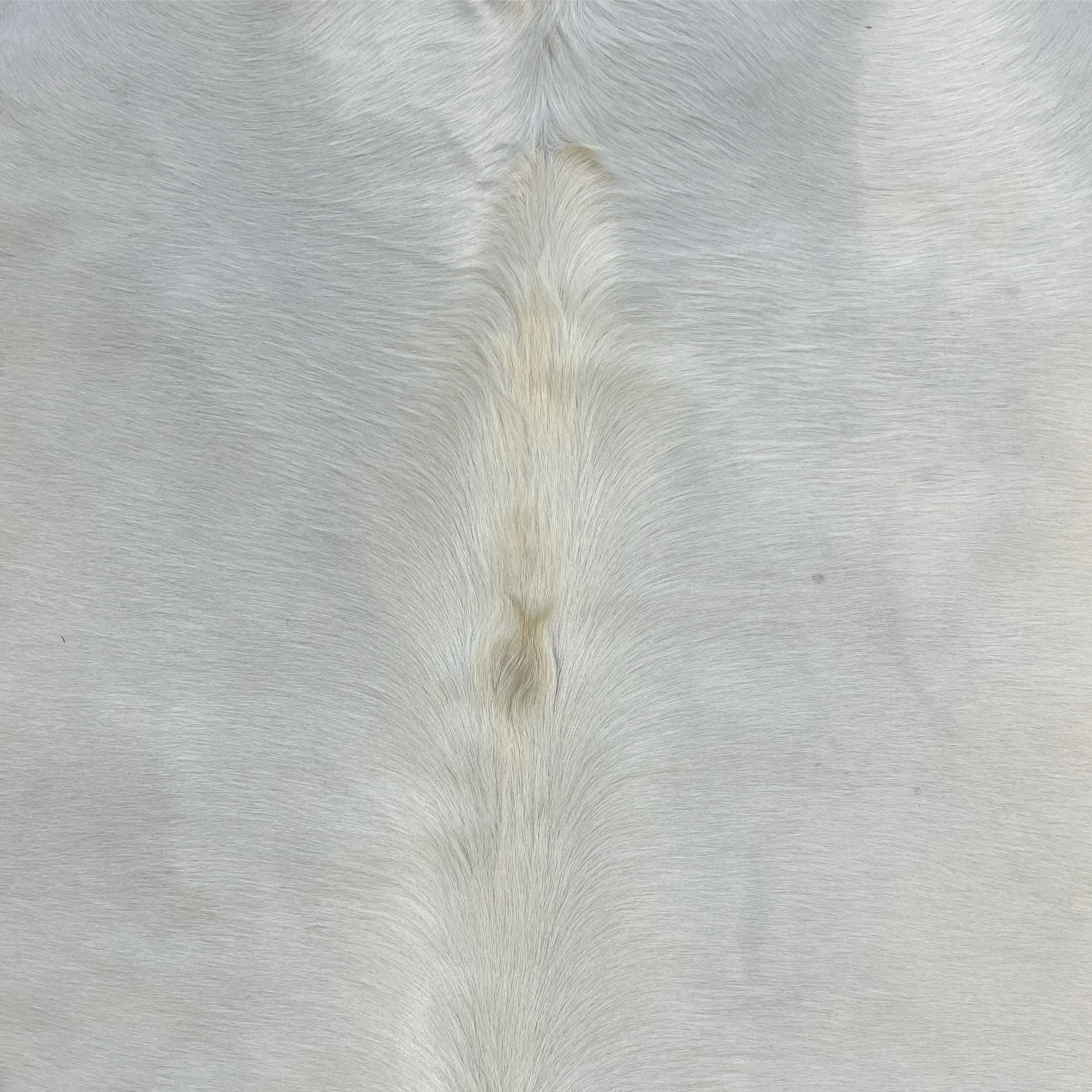 Brazilian Cowhide Rug, Ivory, No. 8