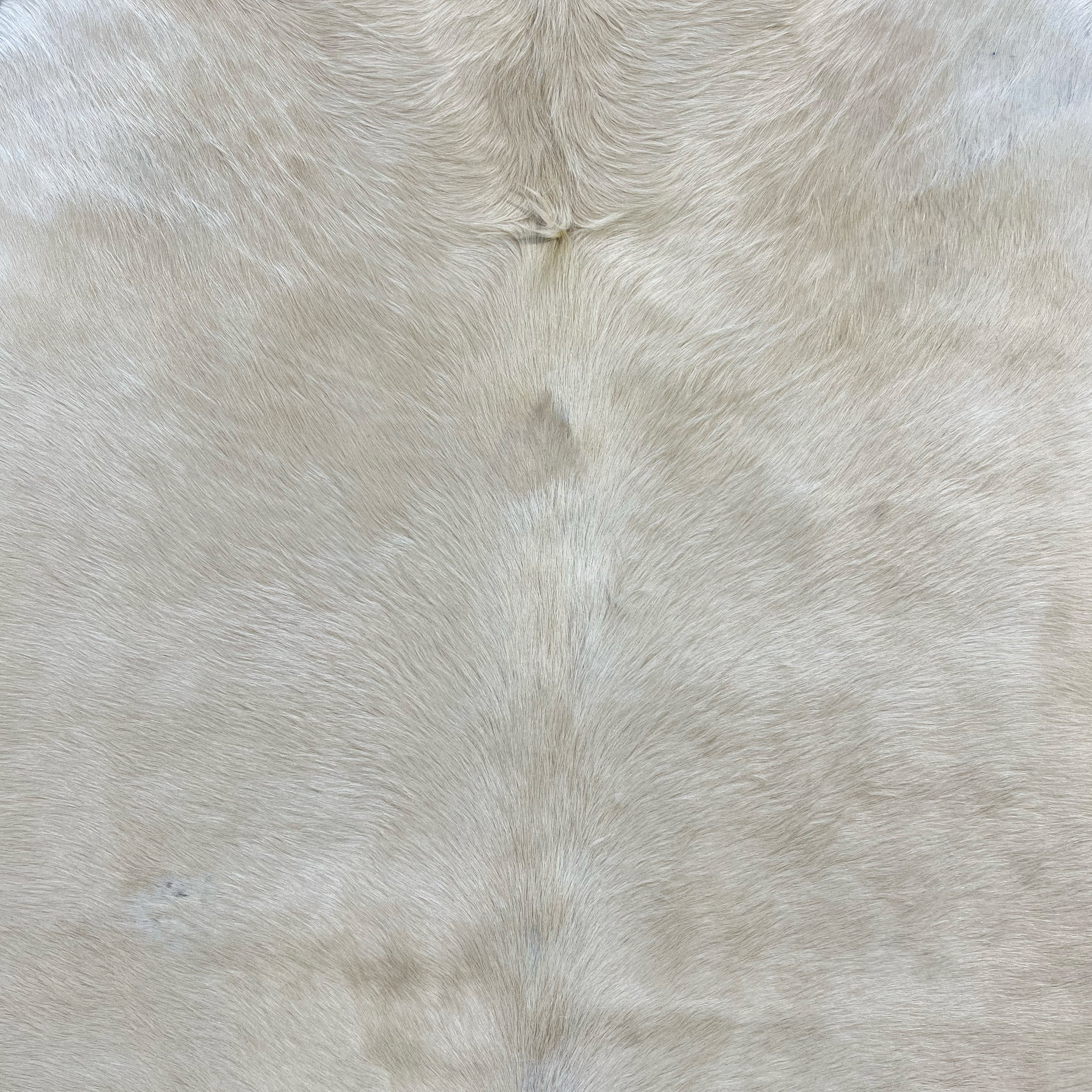 Brazilian Cowhide Rug, Ivory, No. 3