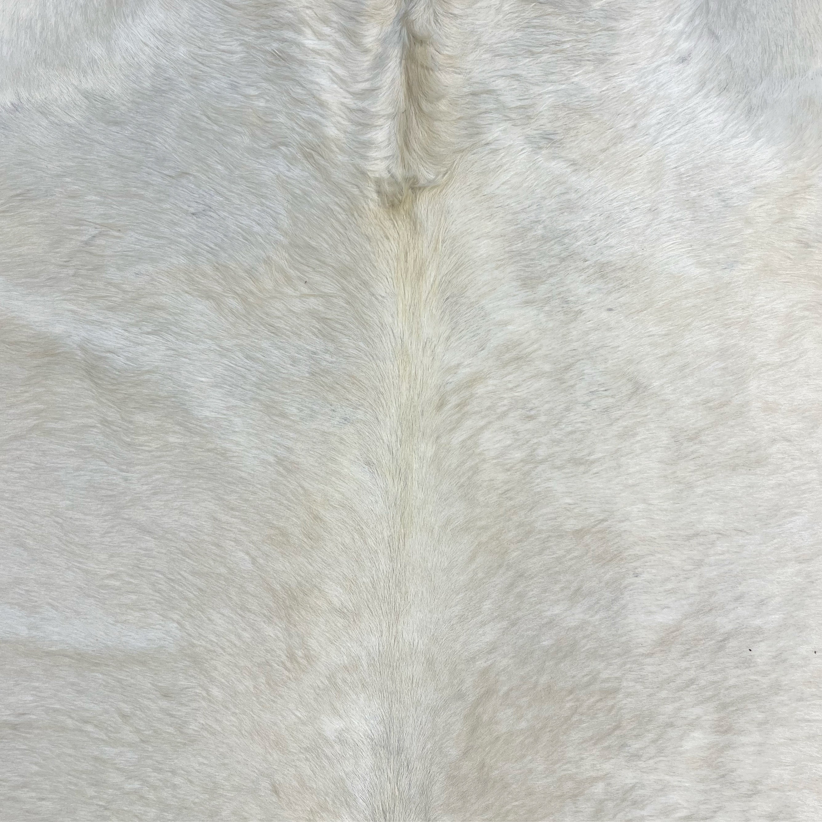 Brazilian Cowhide Rug, Ivory, No. 10