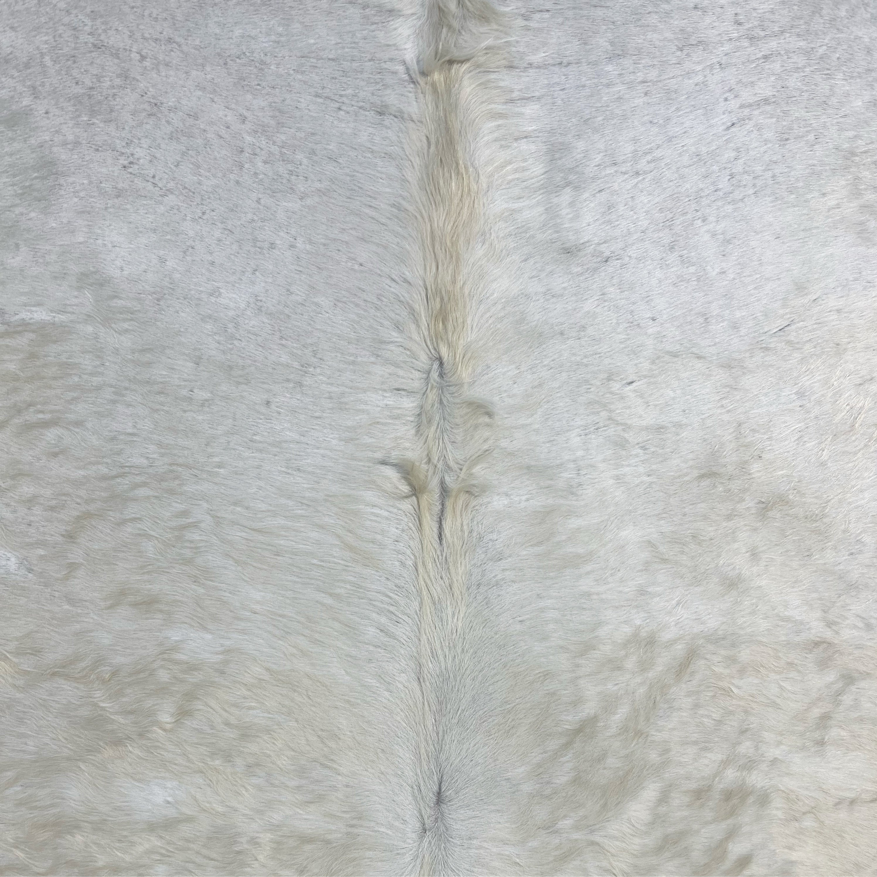 Brazilian Cowhide Rug, Ivory, No. 13