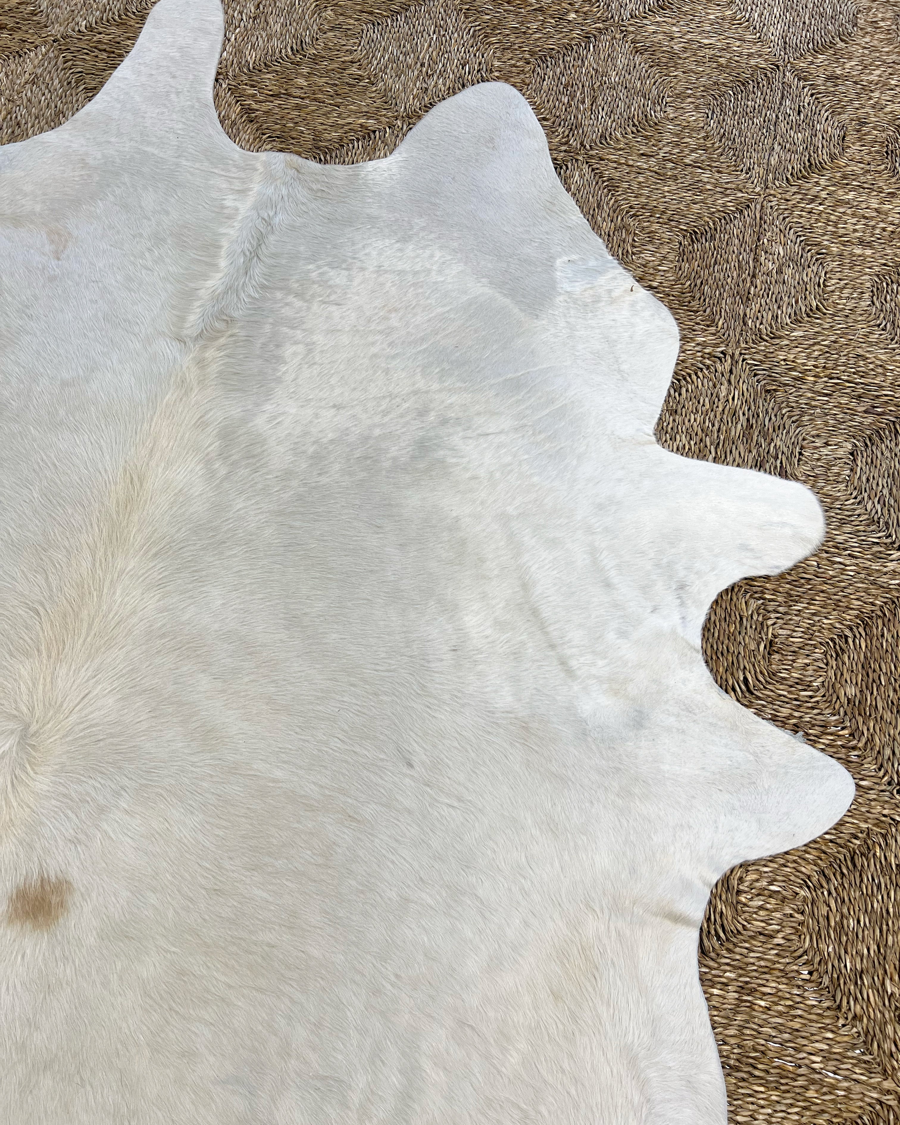 Brazilian Cowhide Rug, Ivory, No. 1