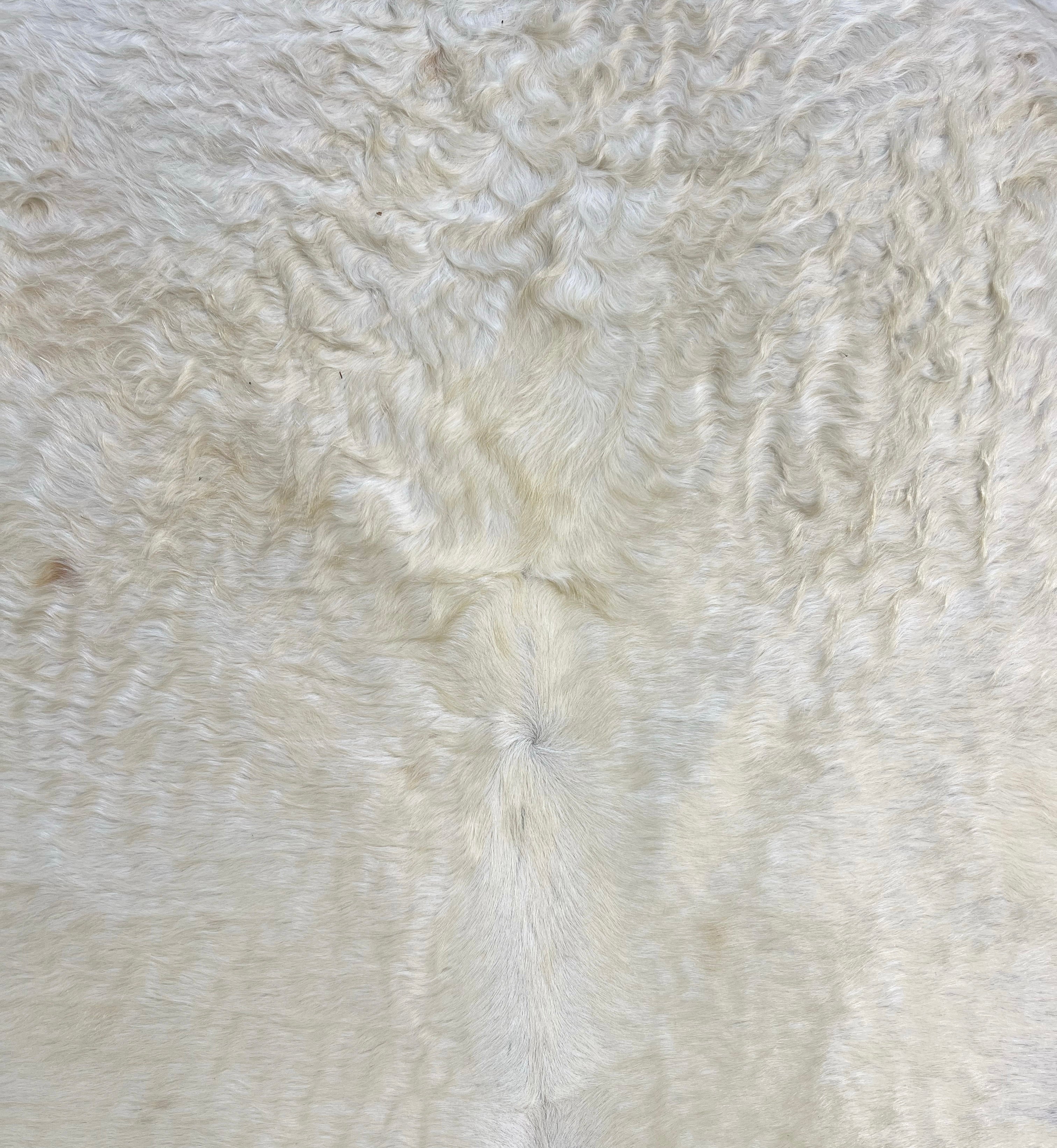 Brazilian Cowhide Rug, Ivory, No. 19