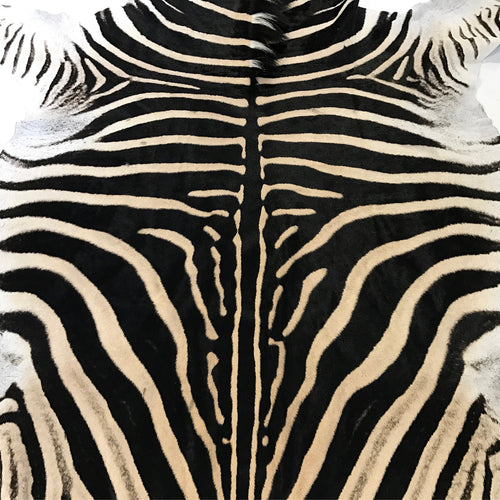 Zebra Hide Rug - FORSYTH