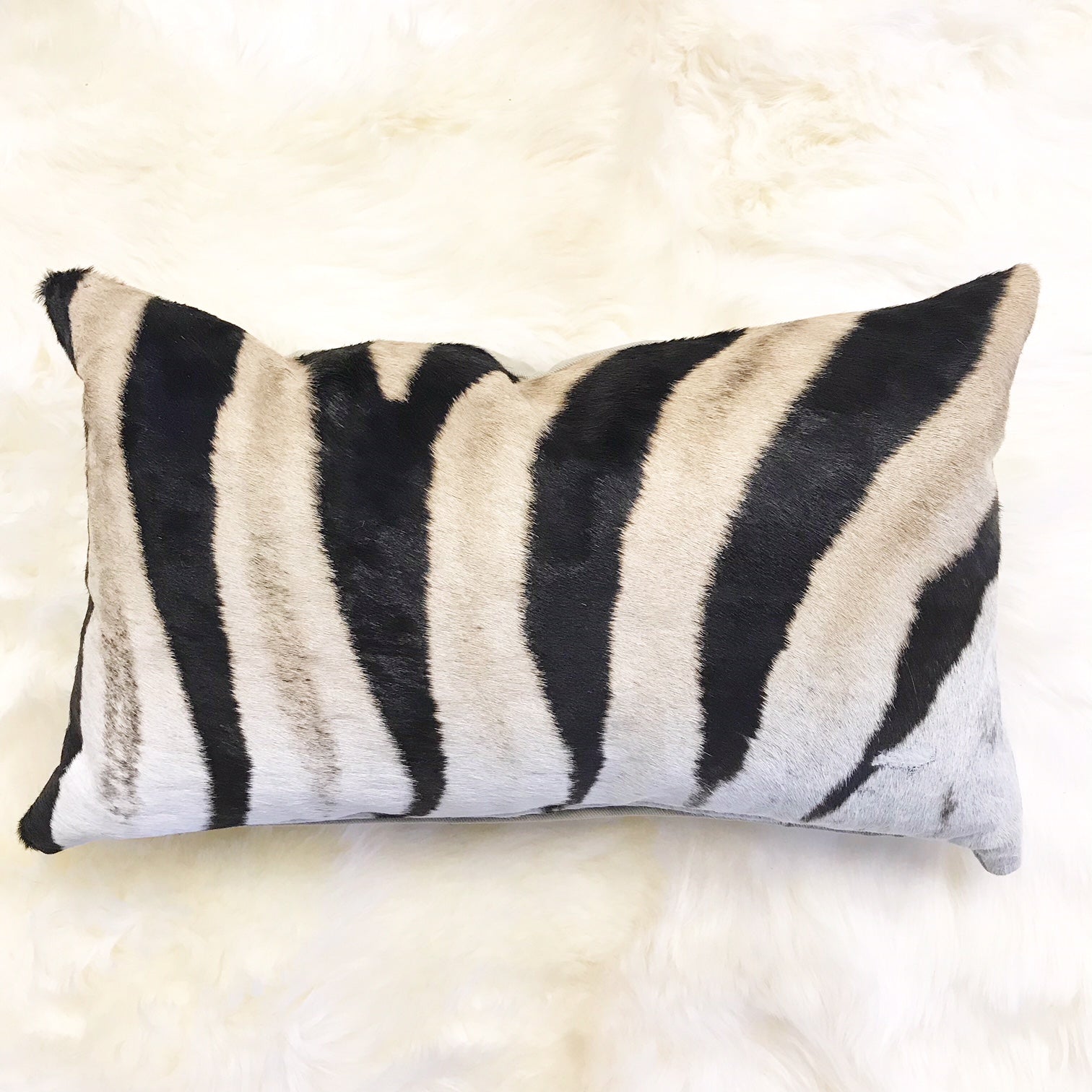 Zebra Pillow, 21x13" - FORSYTH