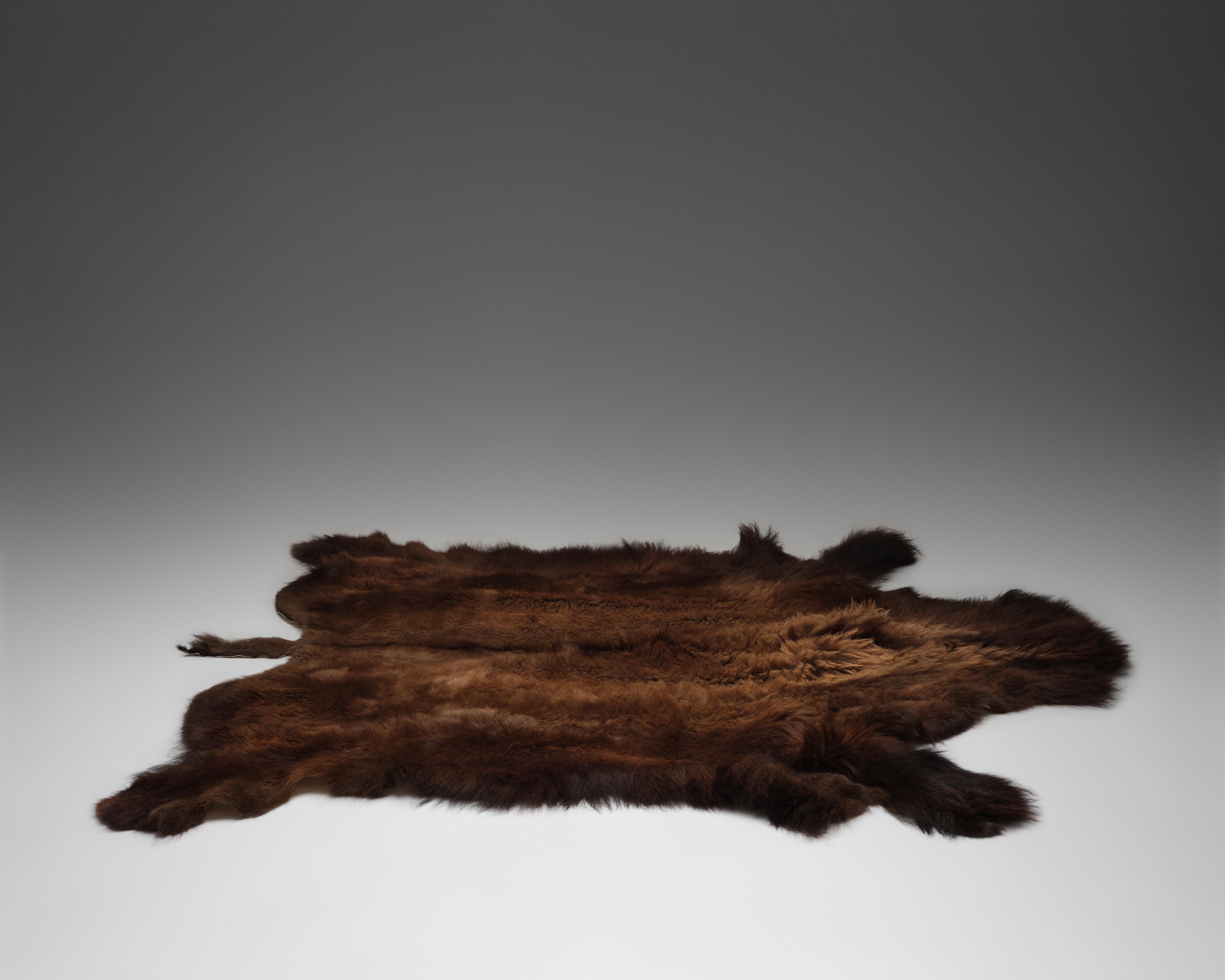Bison Hide Rug
