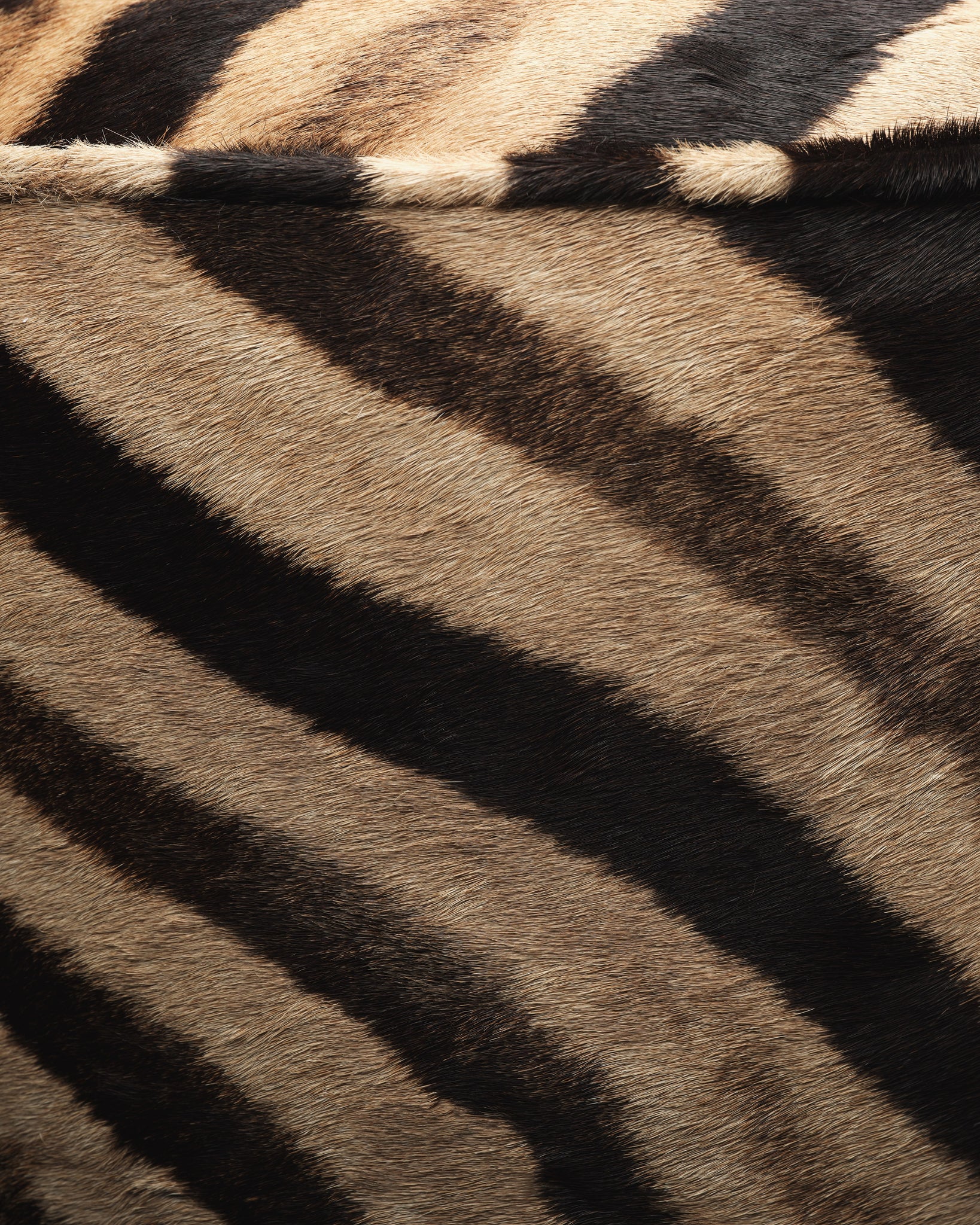 The Forsyth Pouf Ottoman in Zebra, Made to Order