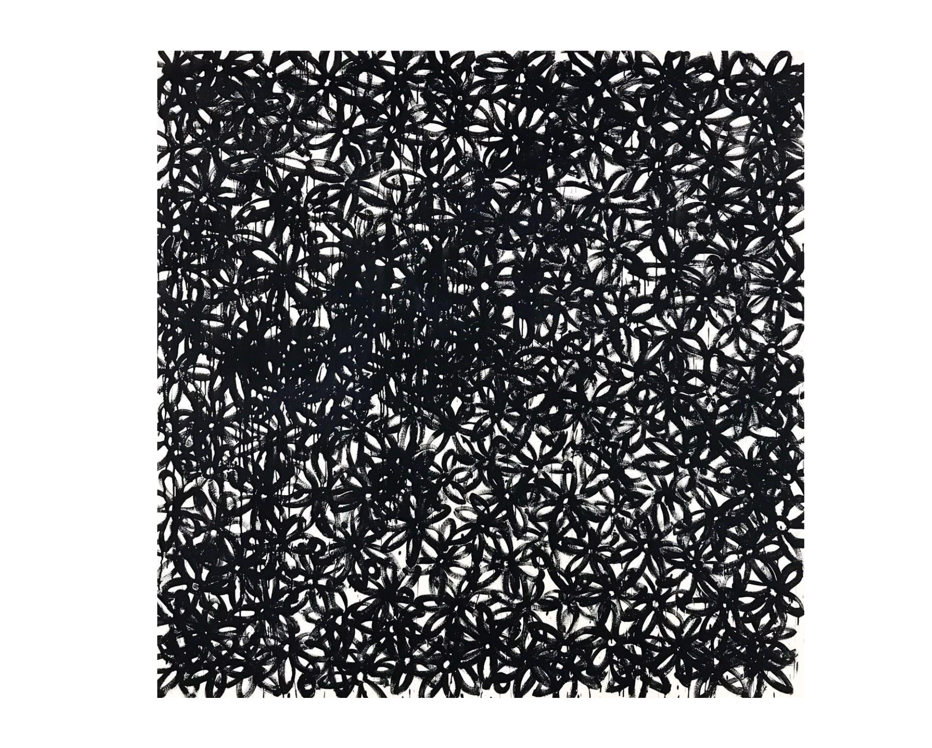Daisies, Black. - FORSYTH