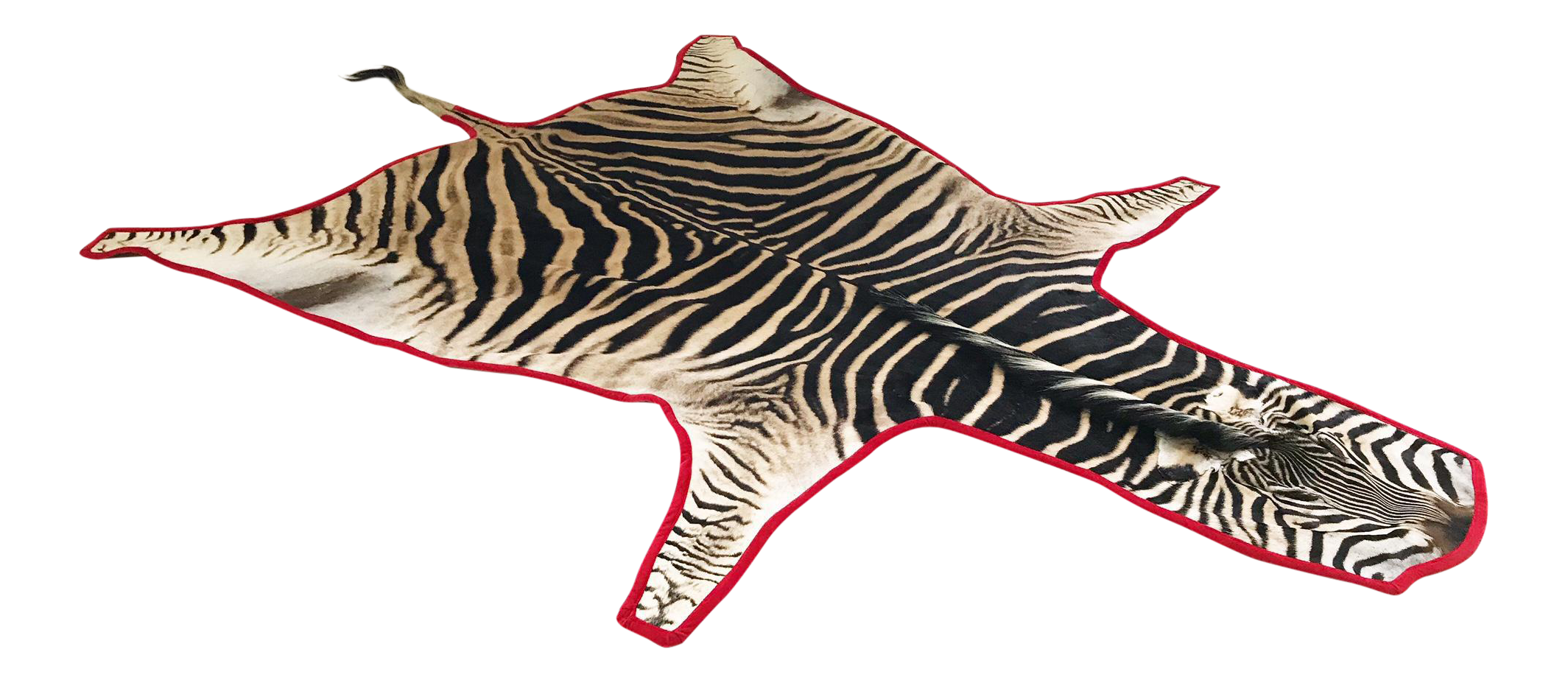 Zebra Hide Rug, Trimmed in Velvet - FORSYTH