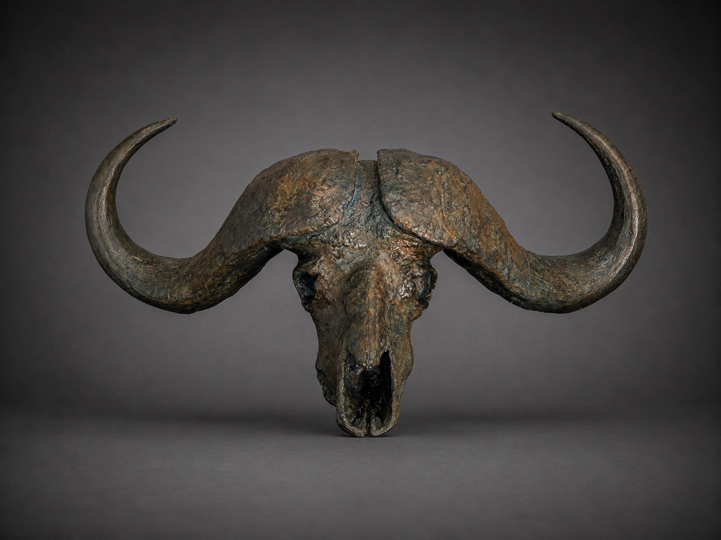 Big Boss – Cape Buffalo Skull