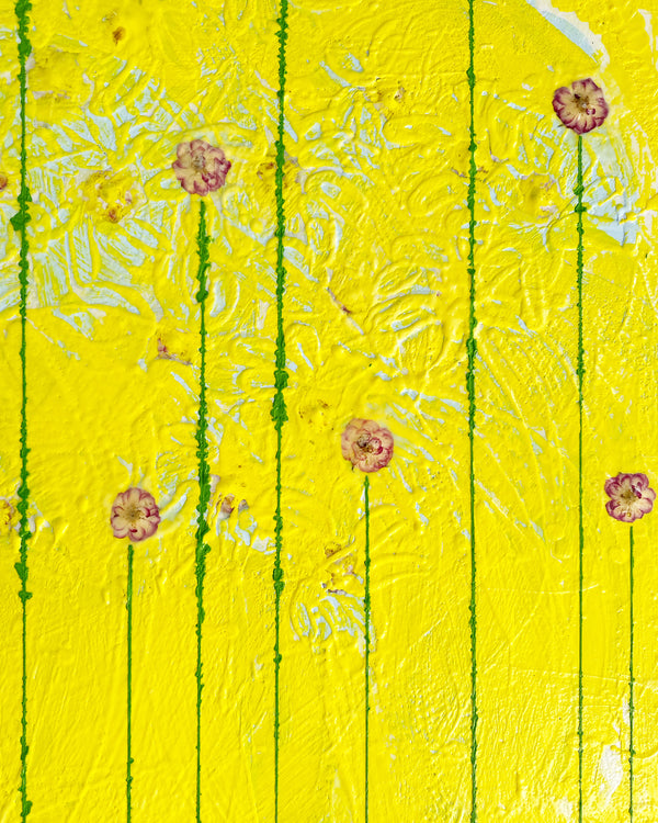 Fiori, 4