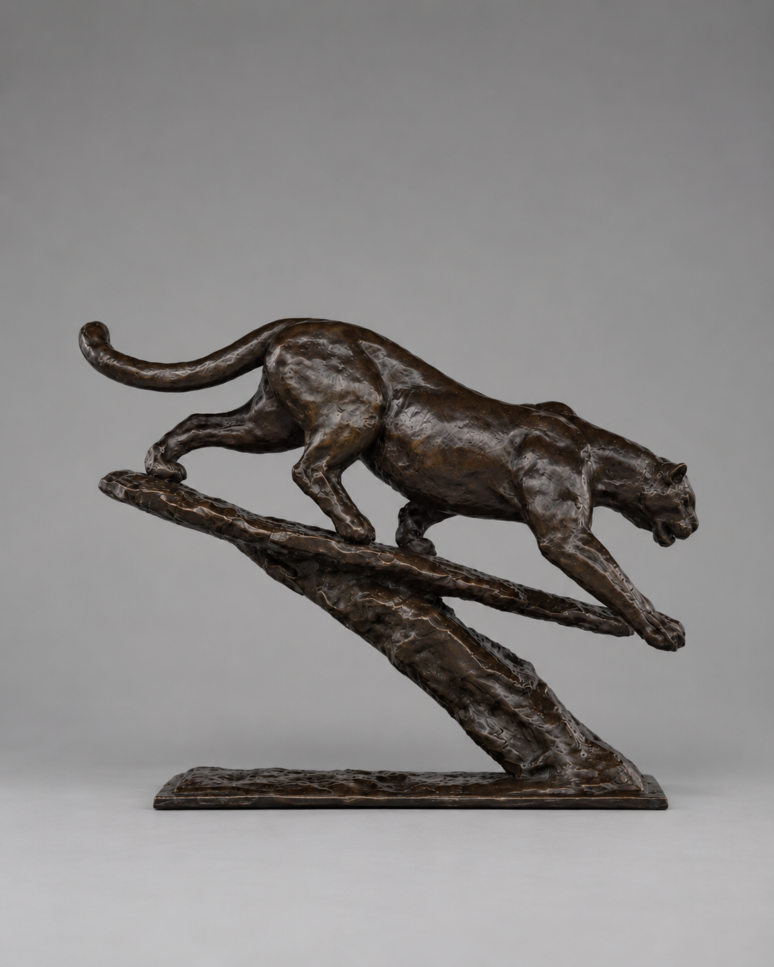 Mountain Man – Mountain Lion