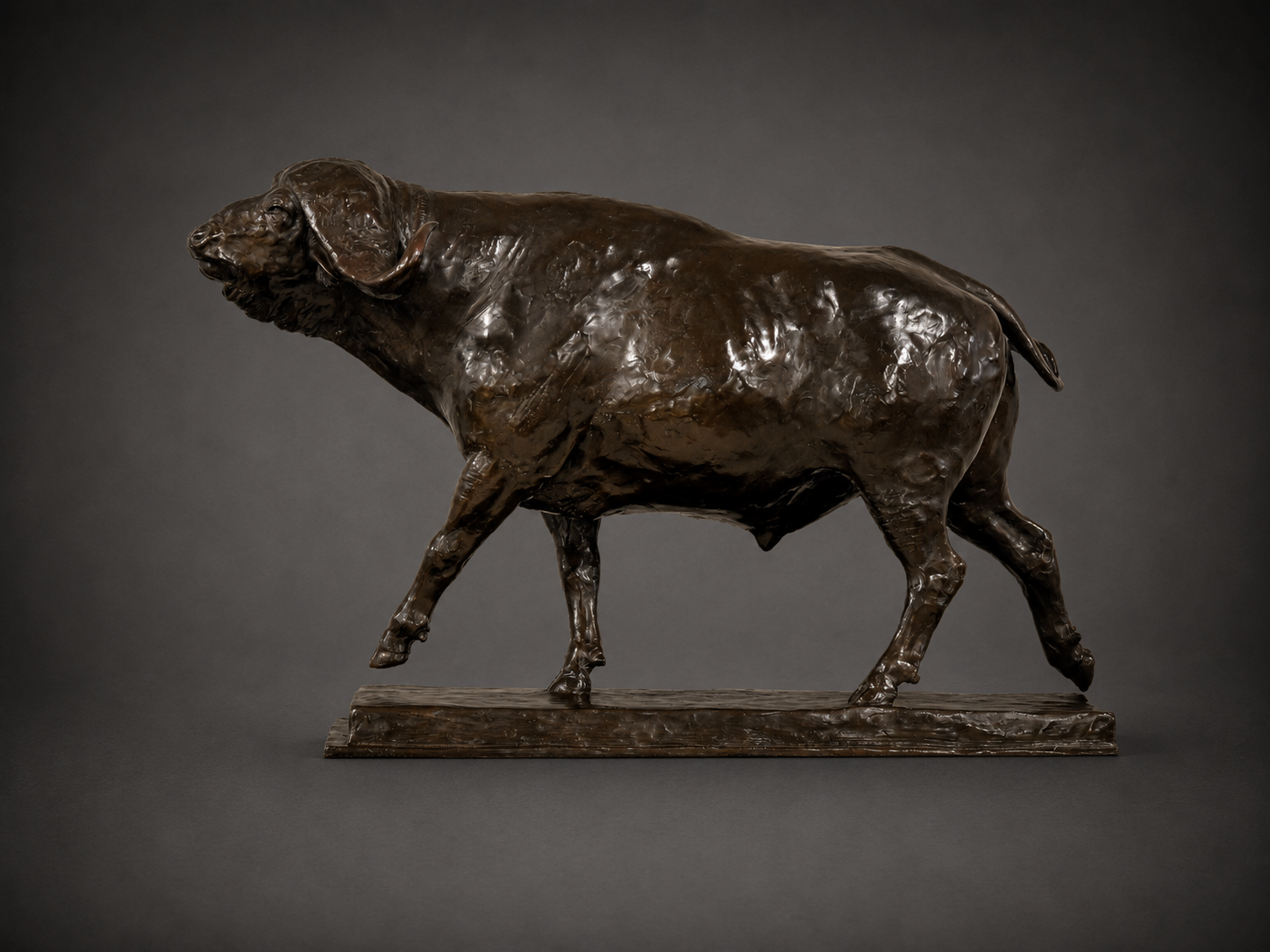 Hammer Time – Cape Buffalo Bull