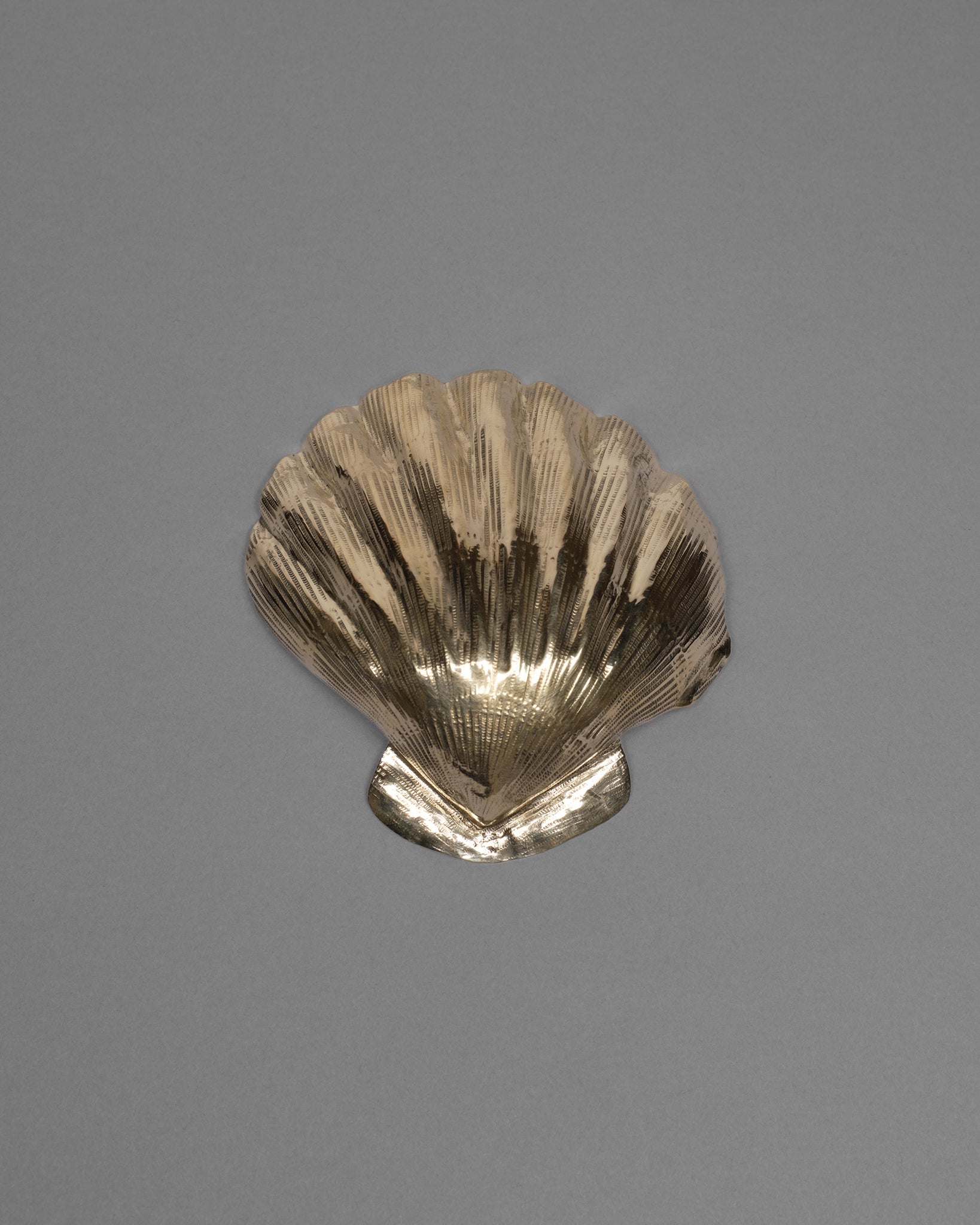 Scallop Shell Bowl