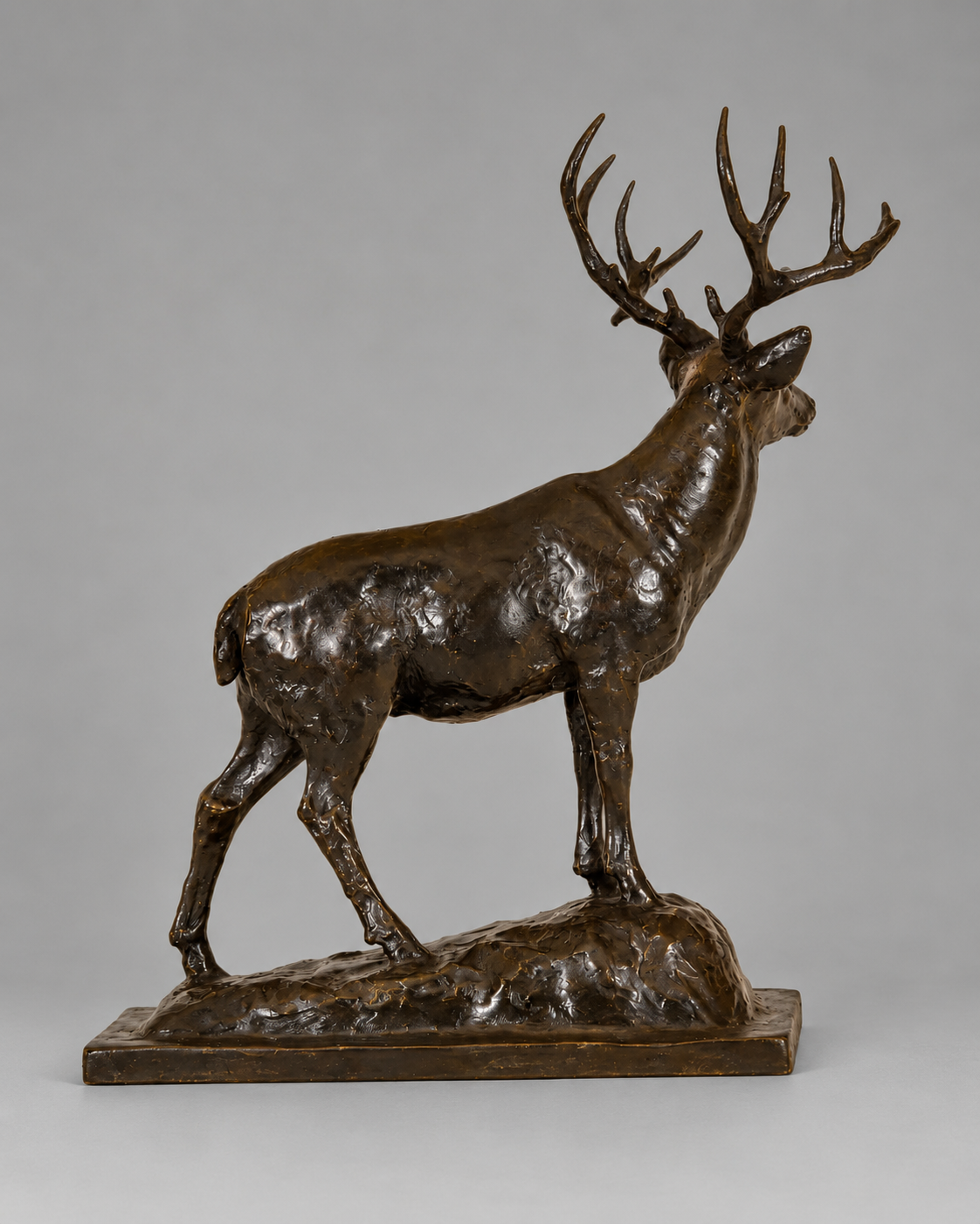 Mountain Muley – Mule Deer Buck