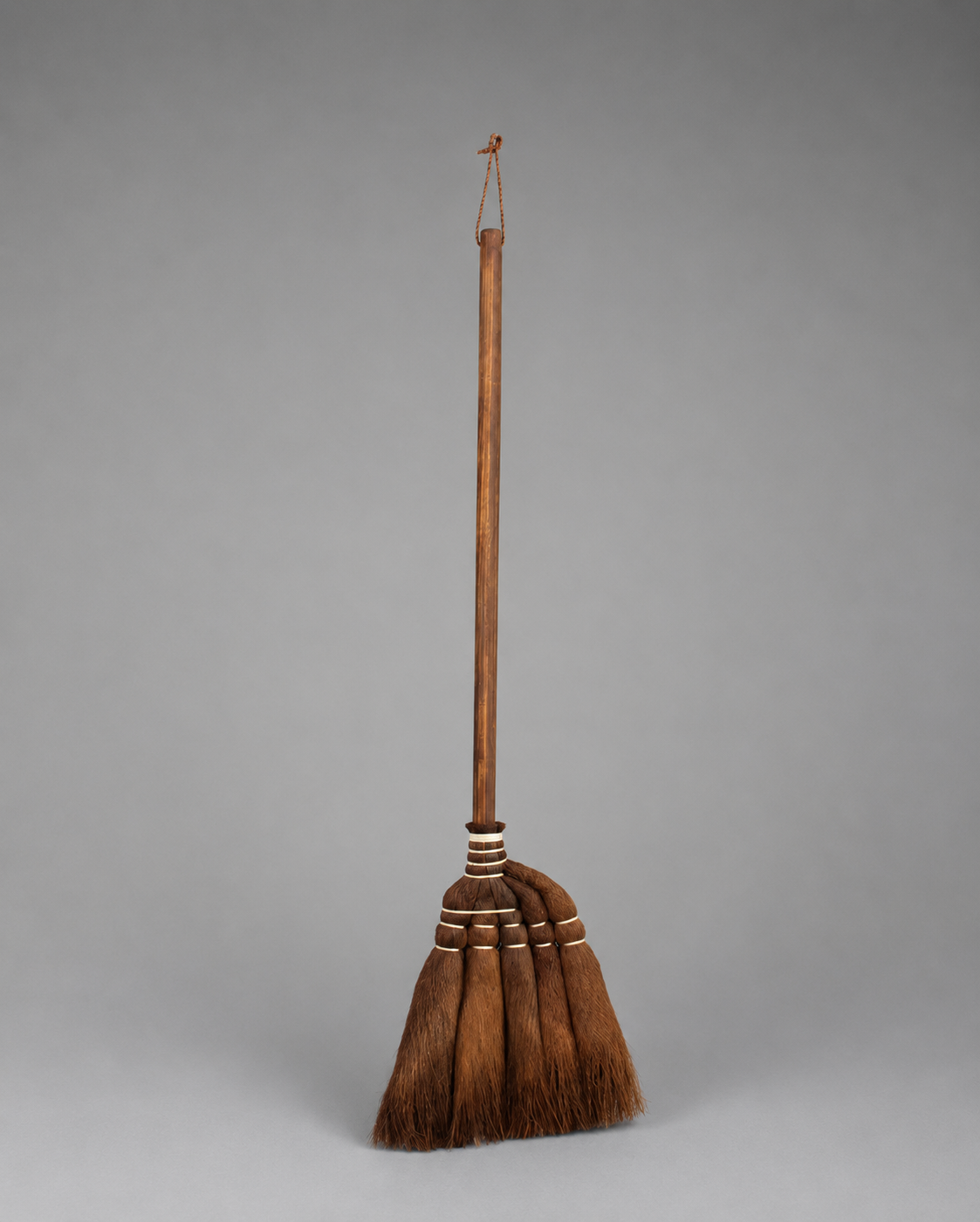 Japanese Cypress Broomstick