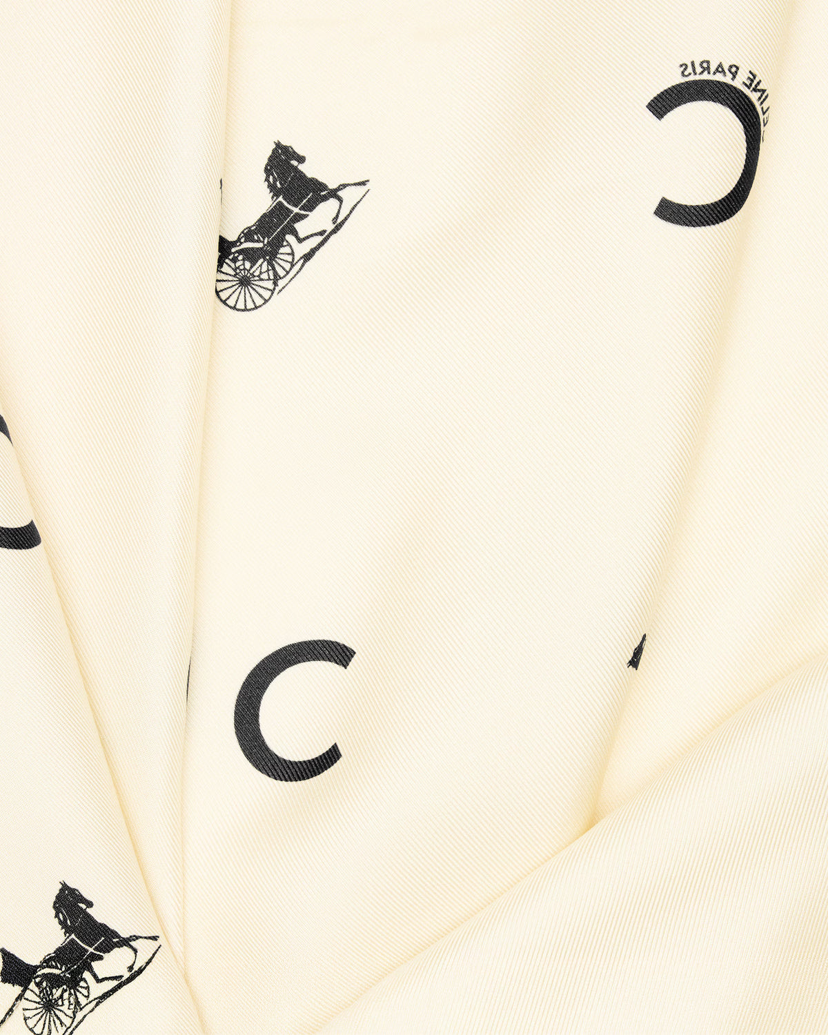 Celine Silk Scarf, Framed