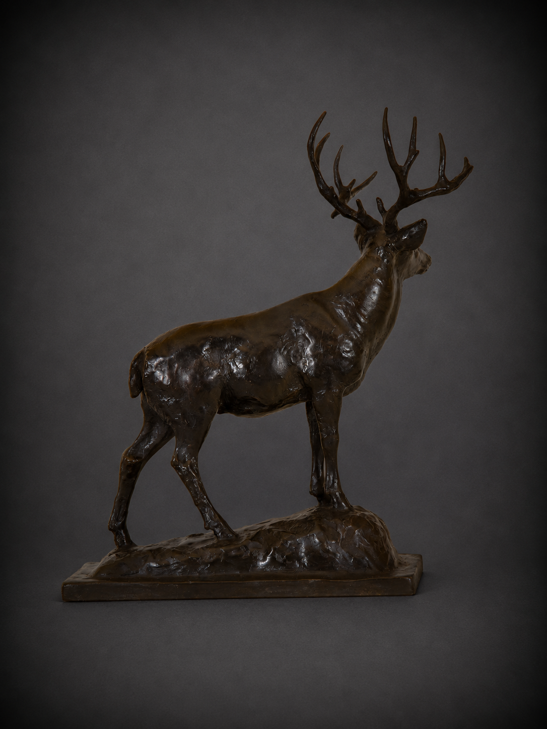 Mountain Muley – Mule Deer Buck