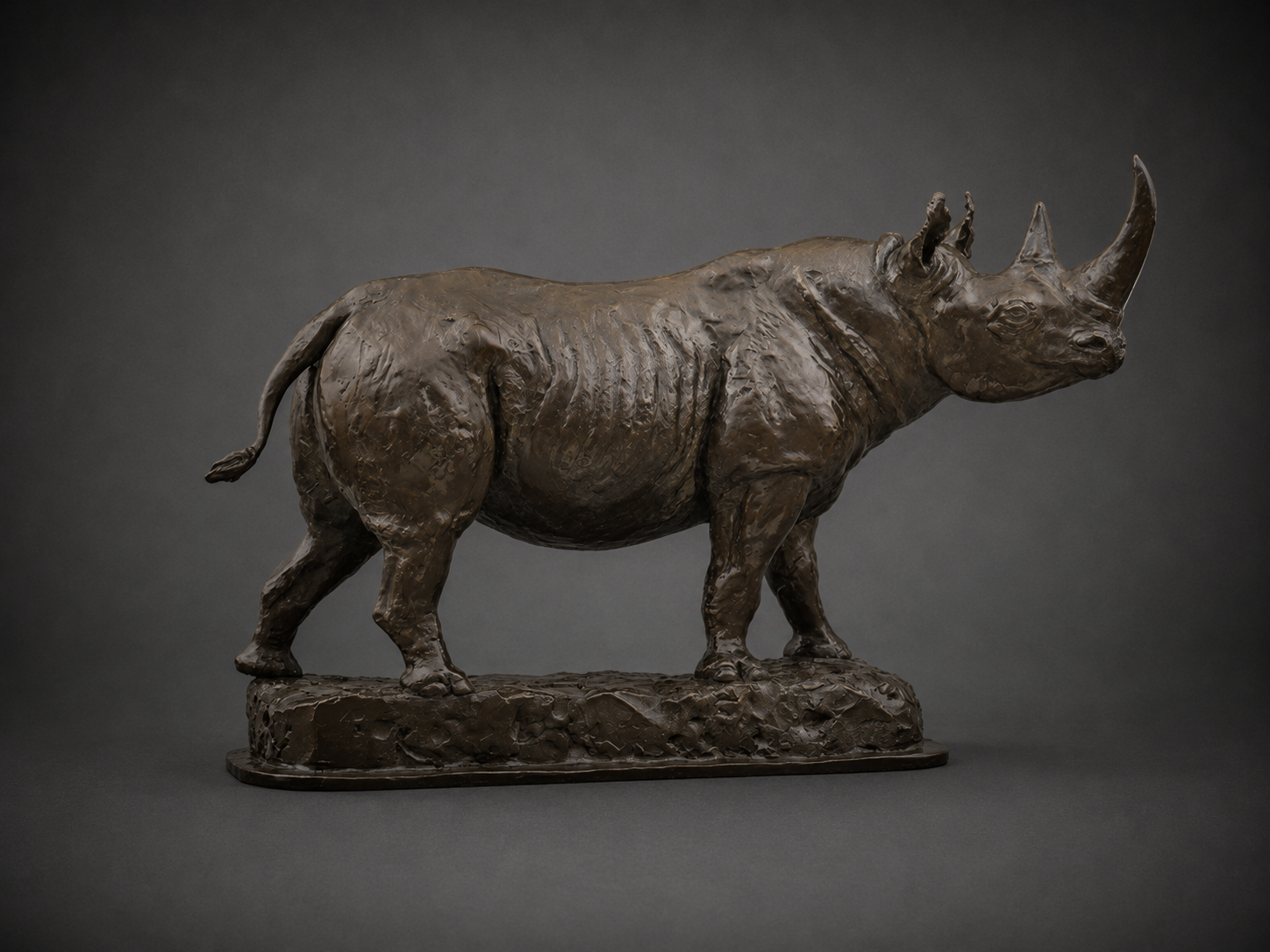 Crowd Control – Rhino
