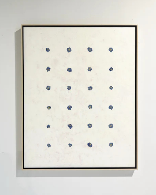 Fiori, 1