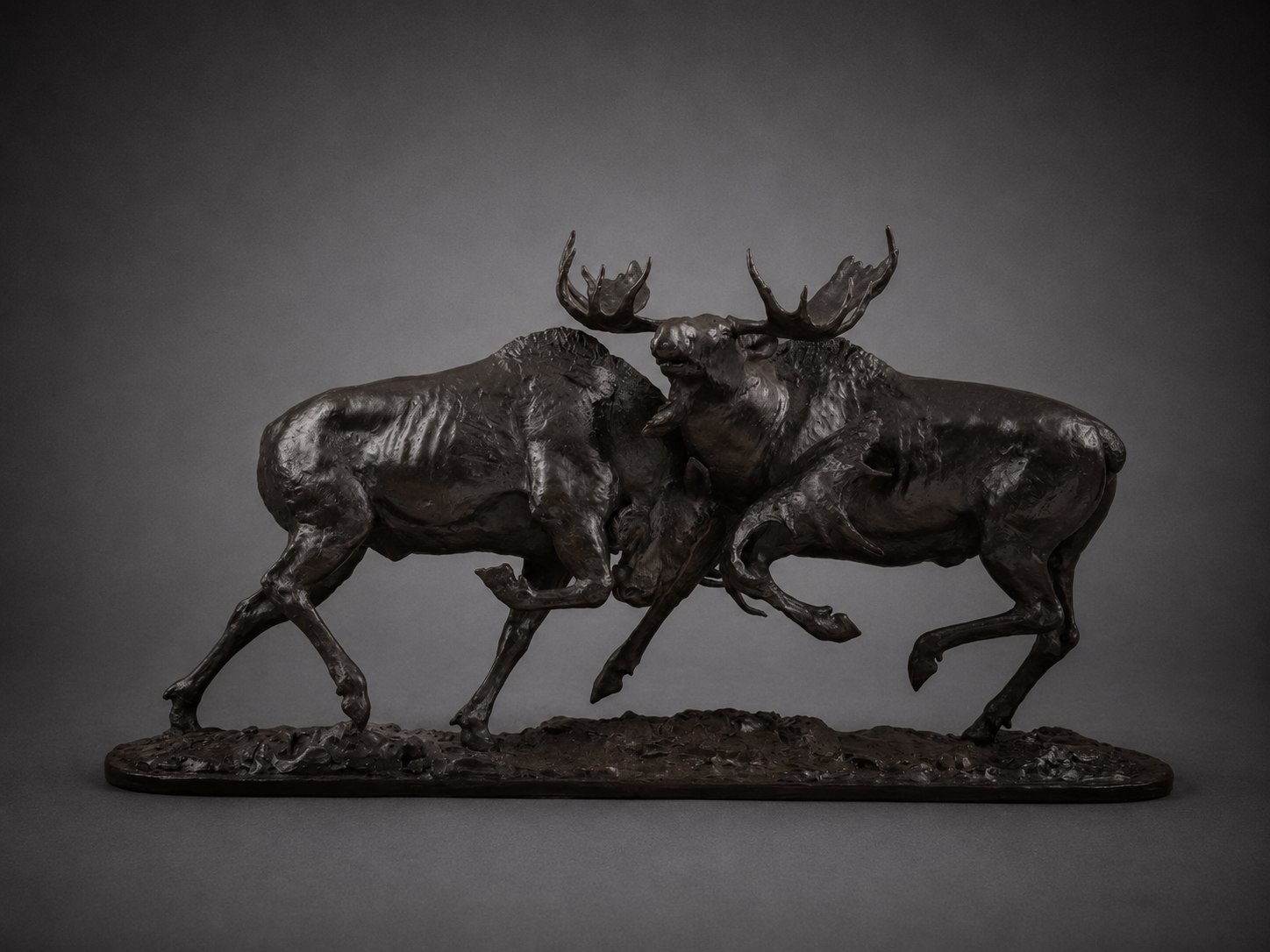 Prize Fighters – Bull Moose