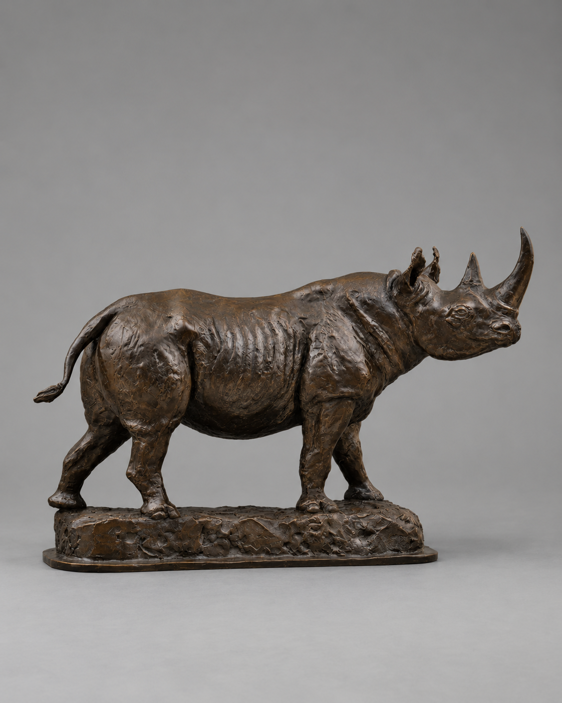 Crowd Control – Rhino