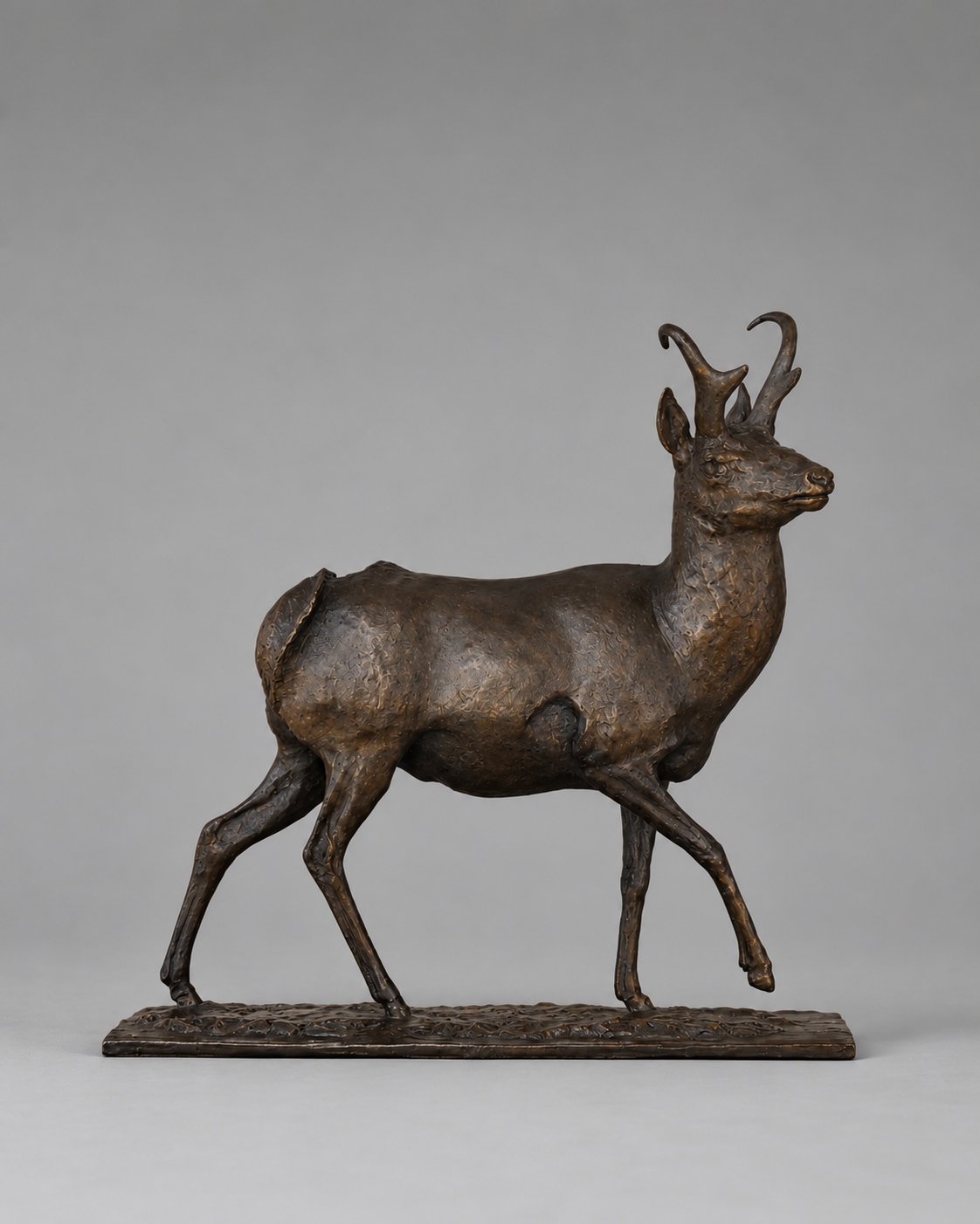Land Survey – Pronghorn Antelope Buck