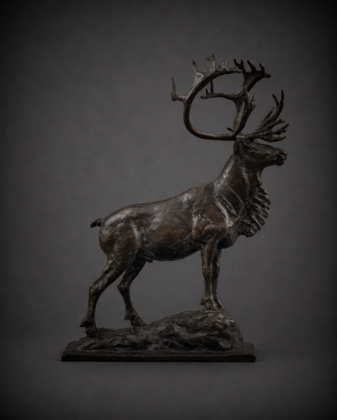Barren Ground - Caribou