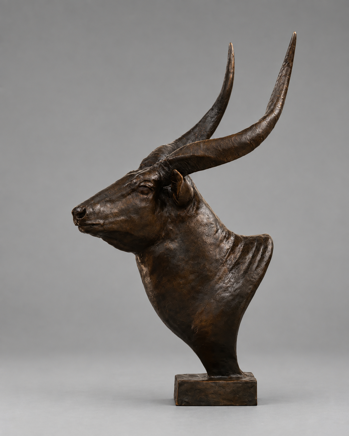 Bongo Bust – African Bongo