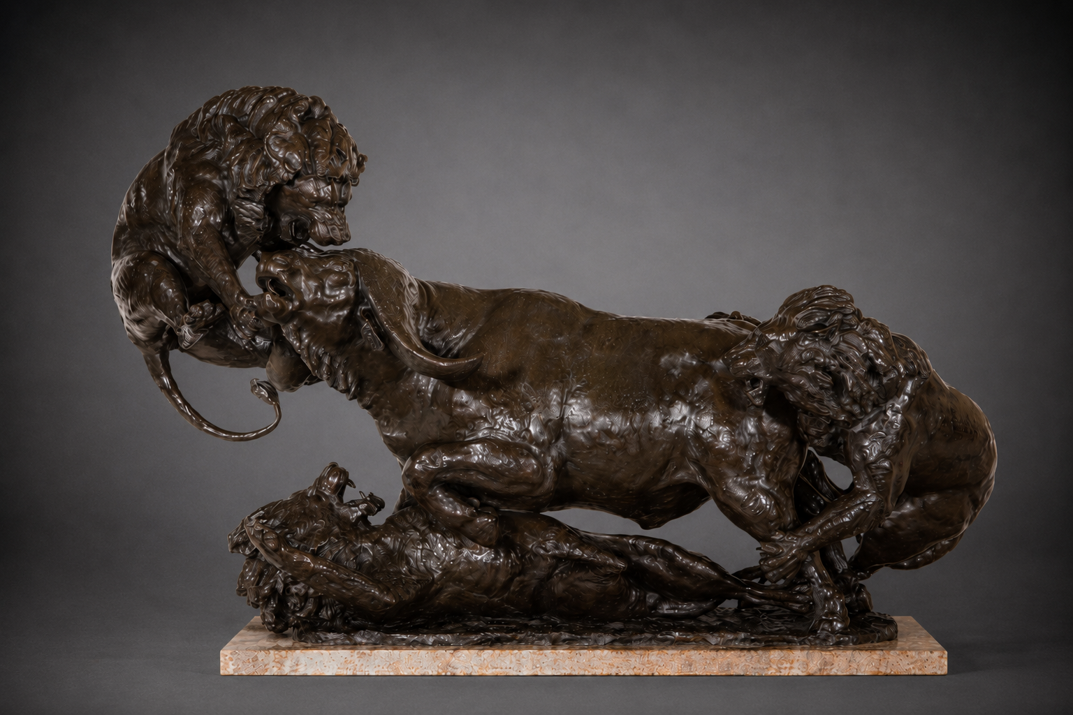 Battle Royale – African Lions Battling A Cape Buffalo Bull