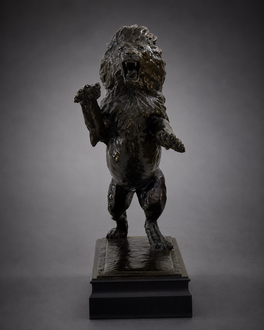 Fight Night - African Lion