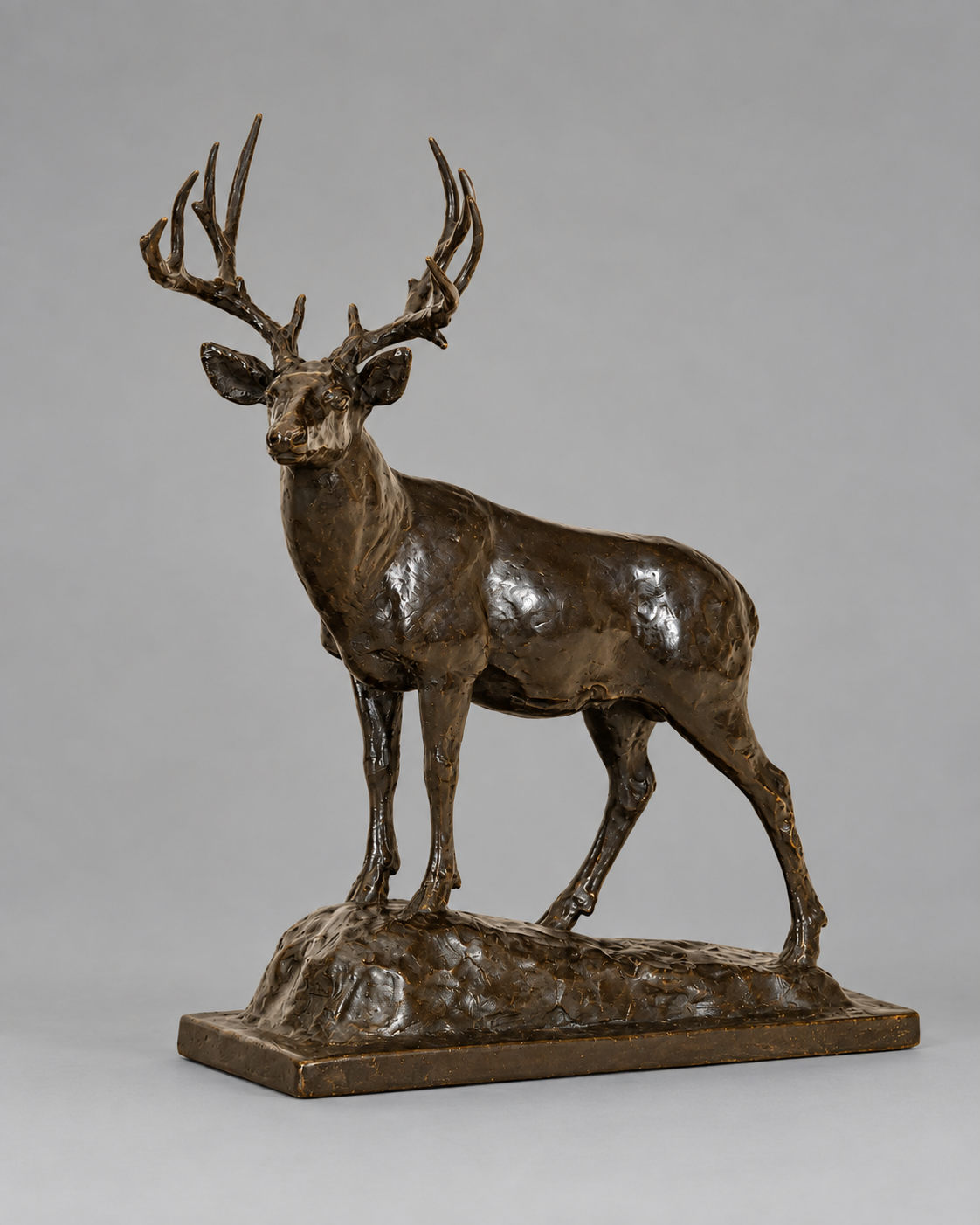 Mountain Muley – Mule Deer Buck