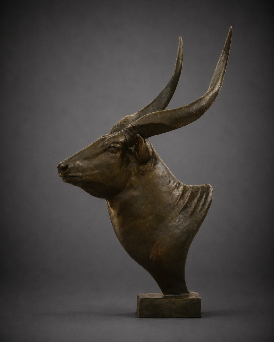 Bongo Bust – African Bongo