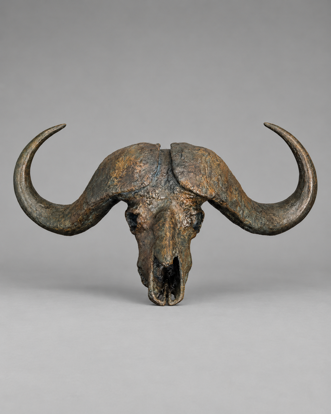 Big Boss – Cape Buffalo Skull