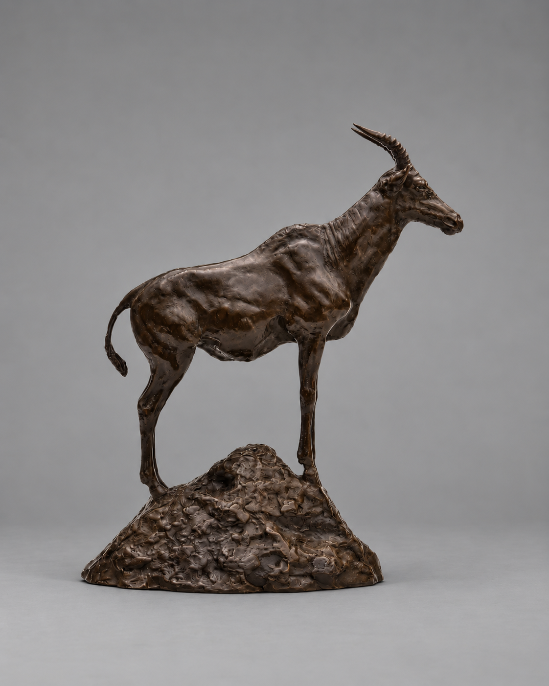 Topi – African Antelope