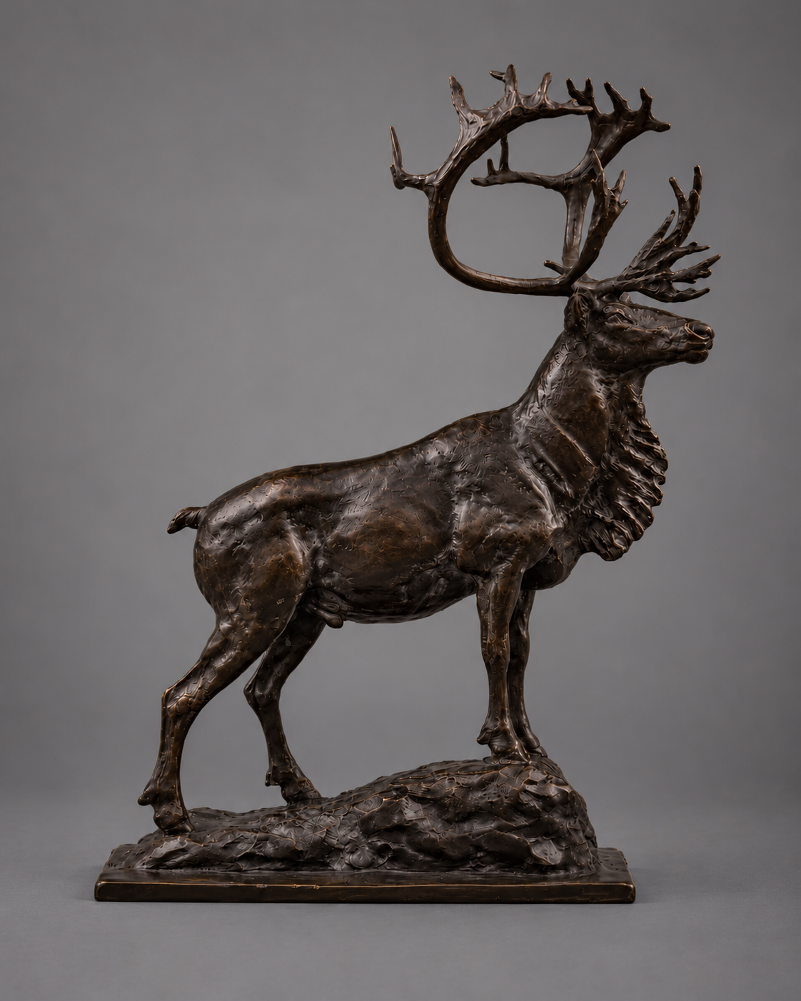 Barren Ground - Caribou