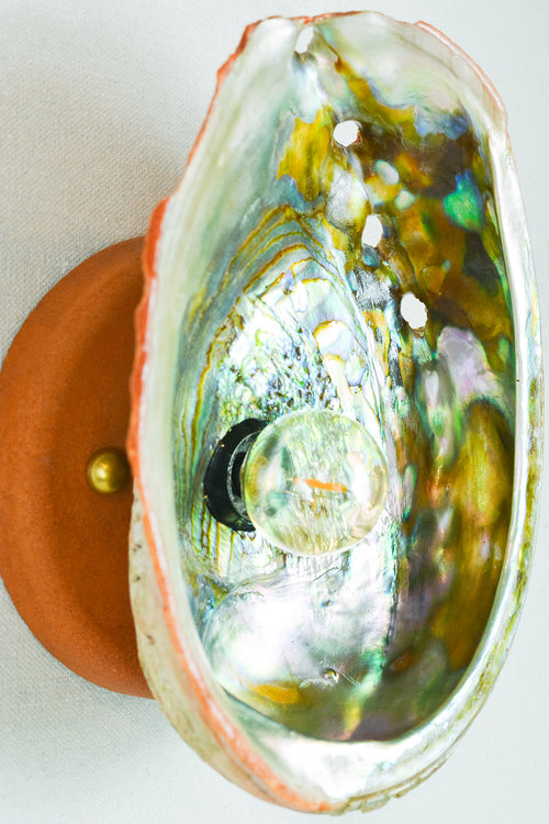 Abalone Siren's Sconce