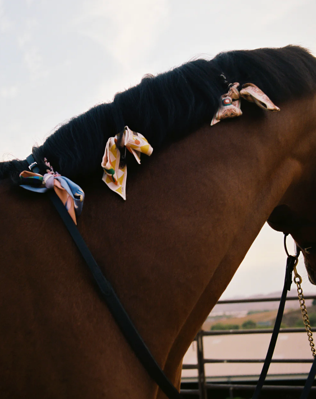 Silk Twill Ribbon - Desert Sojourn 90