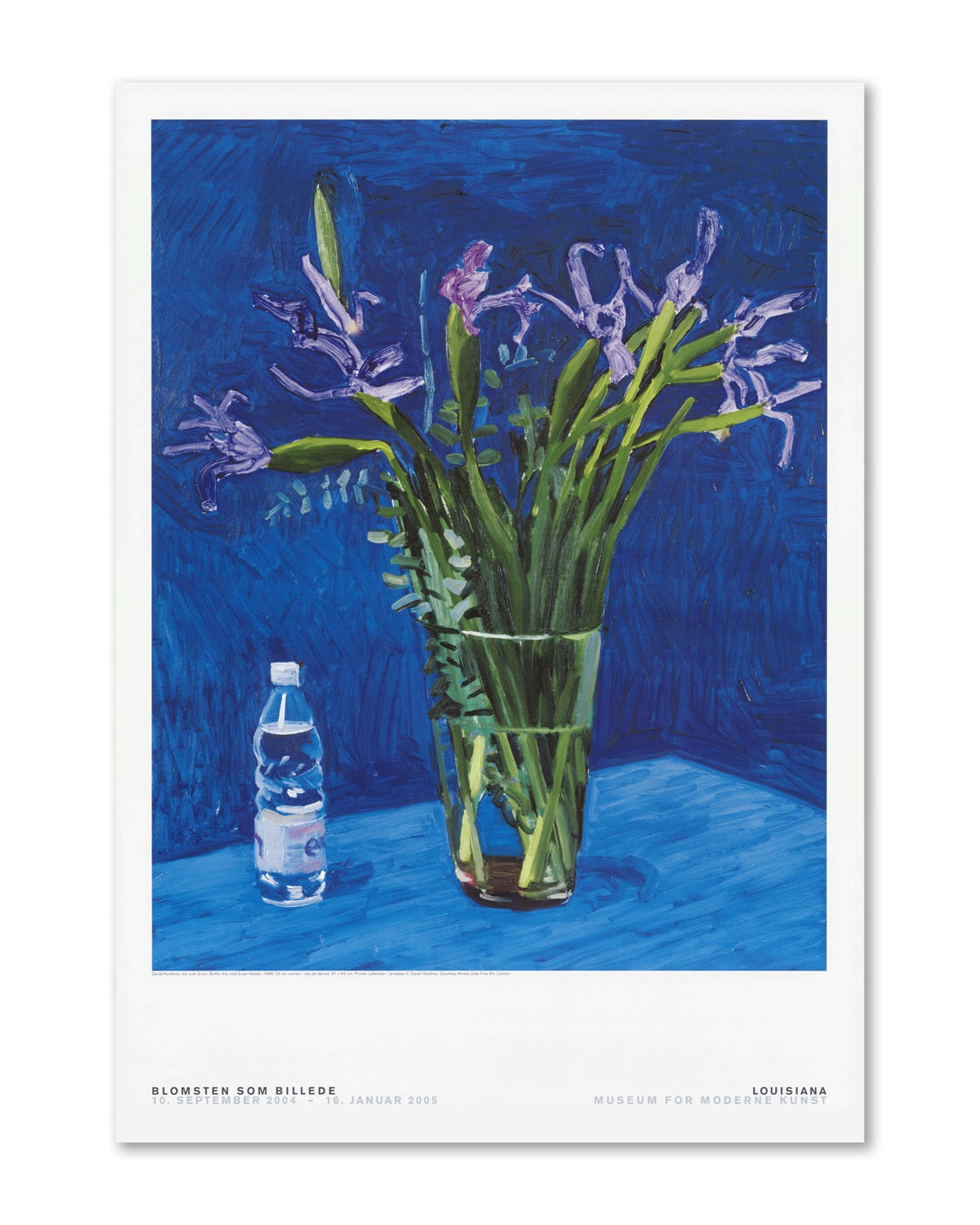 David Hockney - Iris with Evian Bottle (1998)