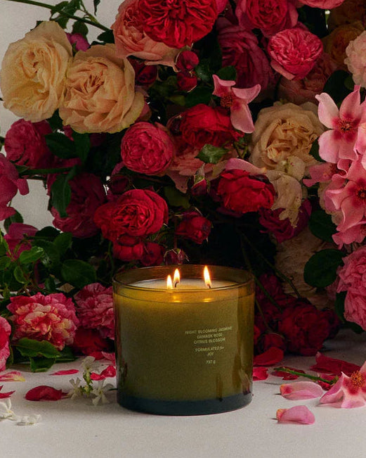Jasmine Damask Rose XL Candle