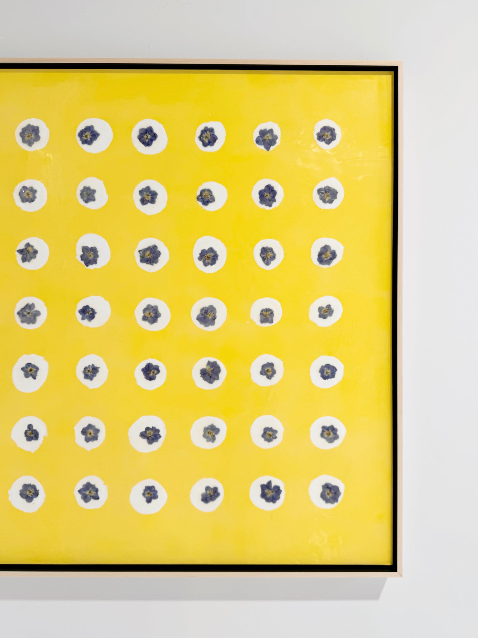 Fiori, 5