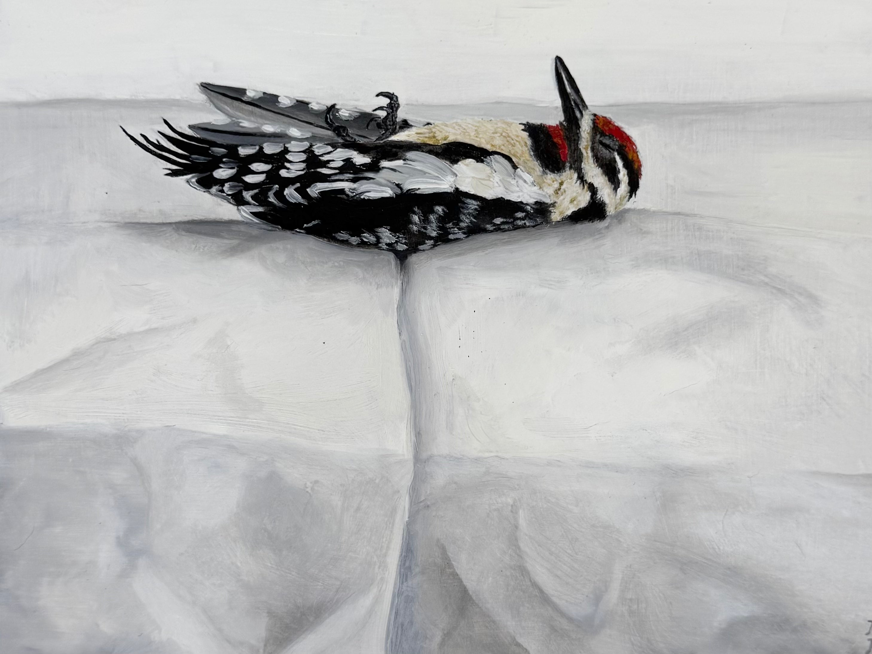 Bird in Repose II