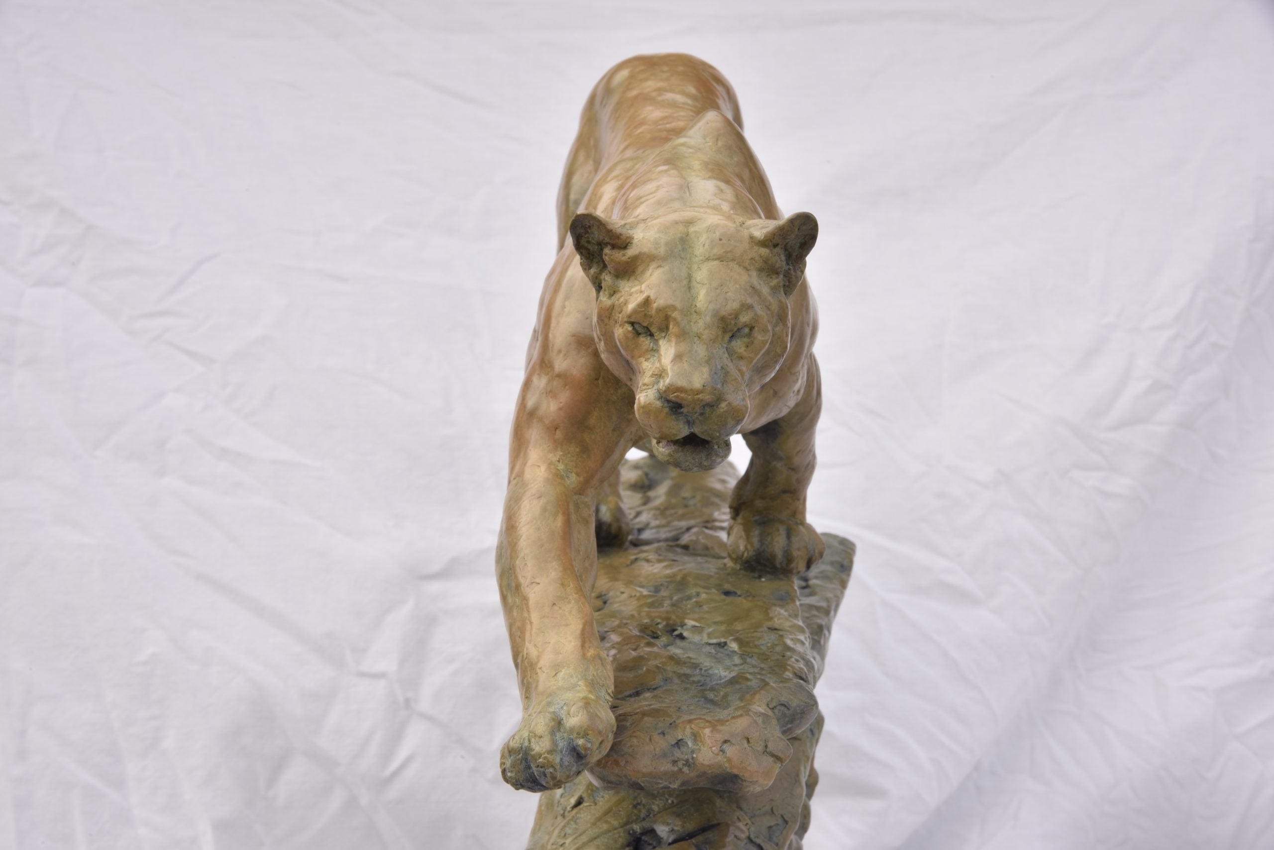 Mountain Man – Mountain Lion